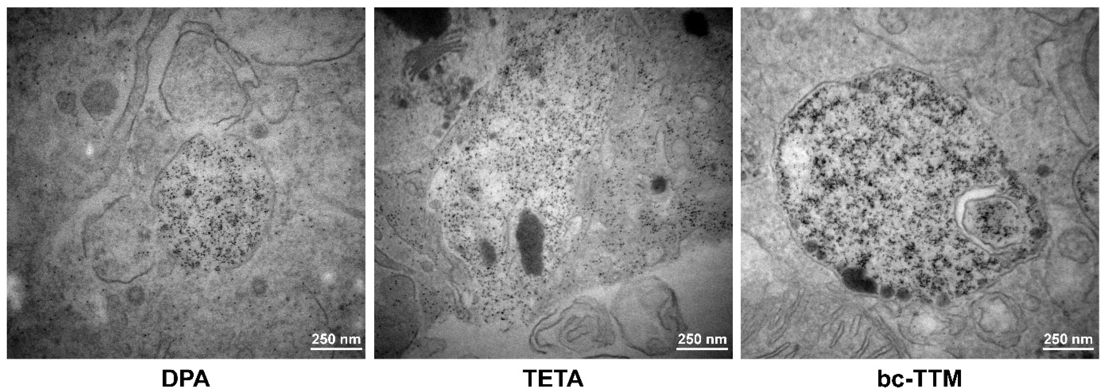 Biomedicines 09 01861 g005