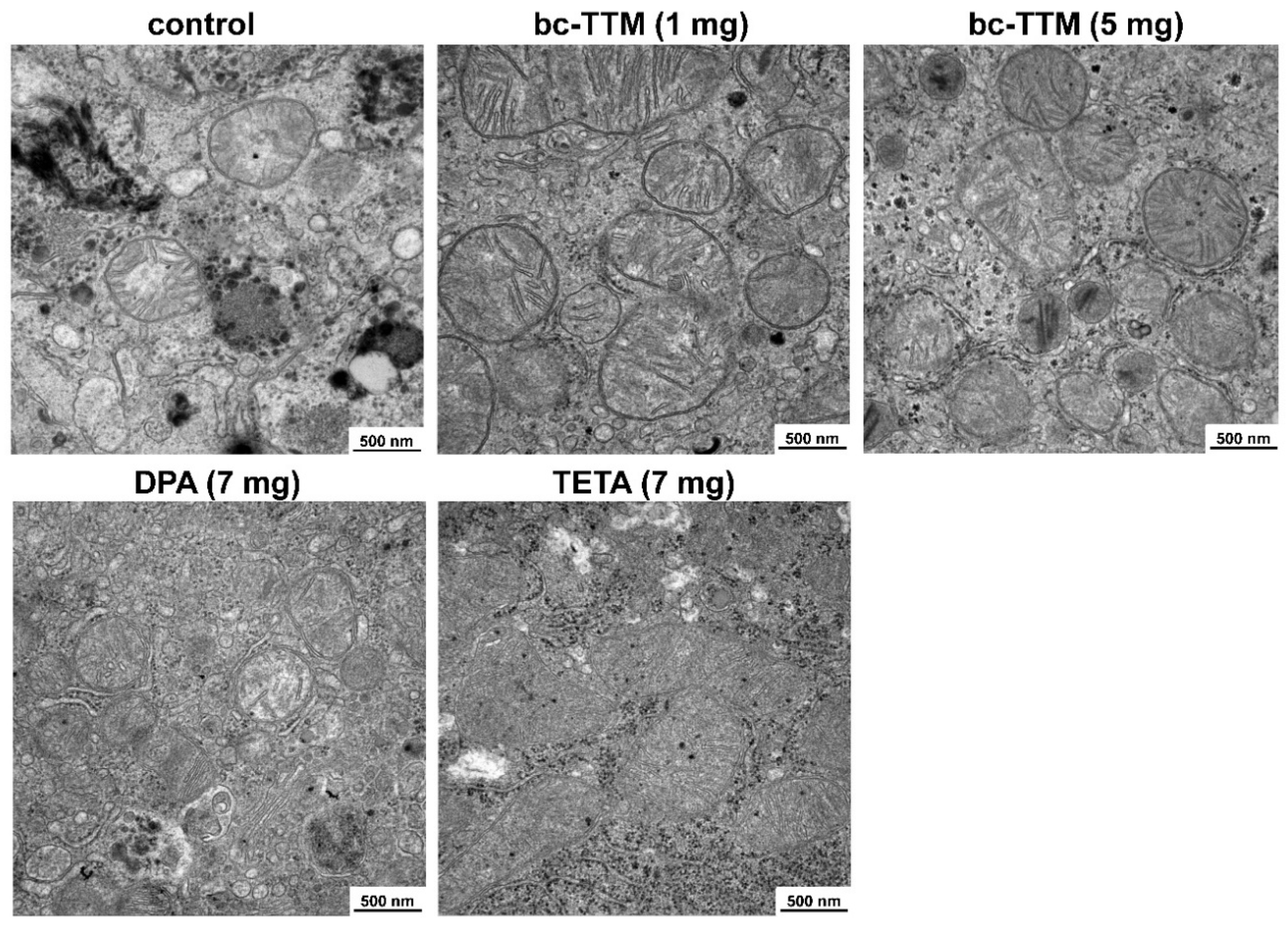 Biomedicines 09 01861 g006