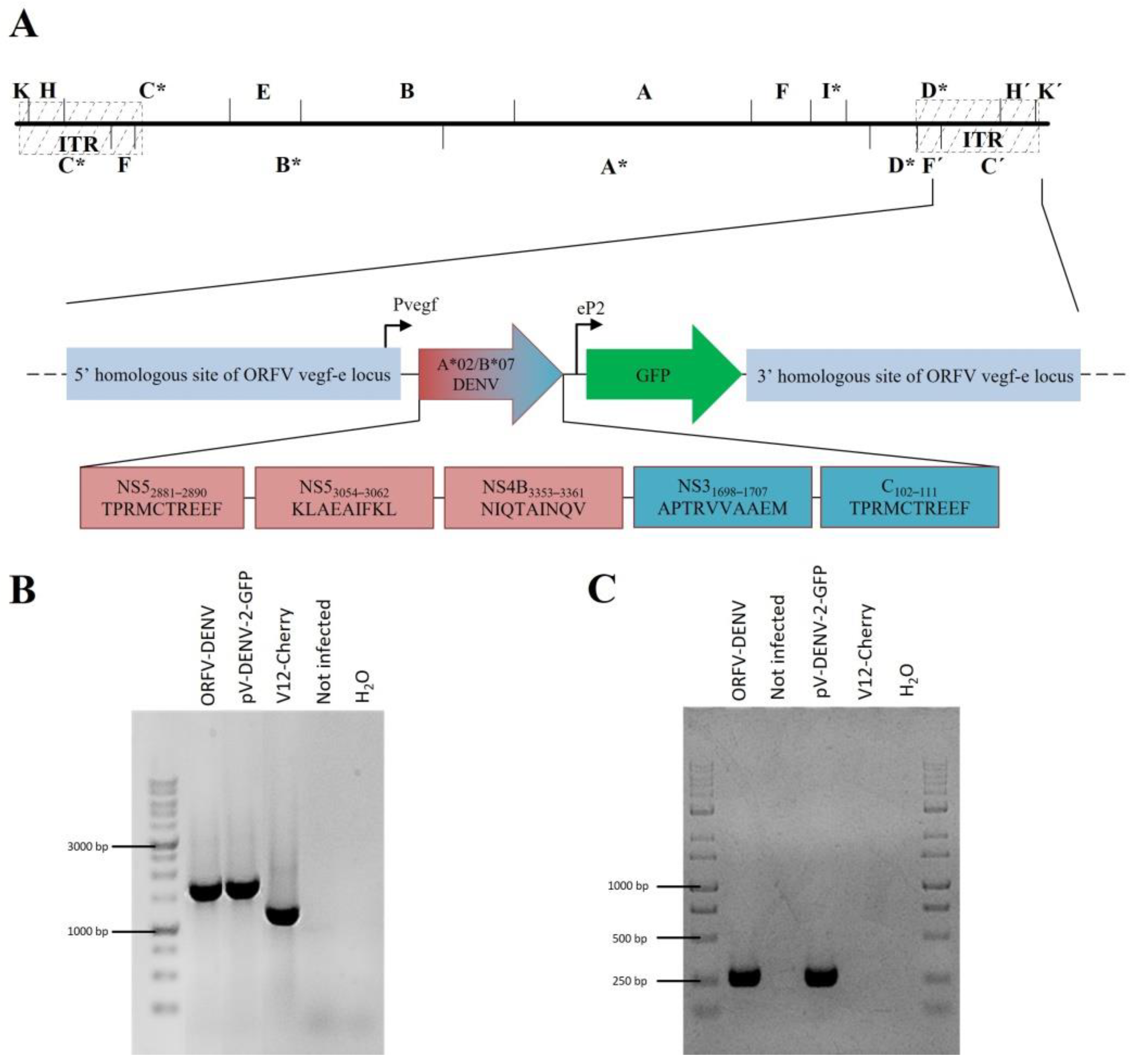 Biomedicines 09 01862 g002