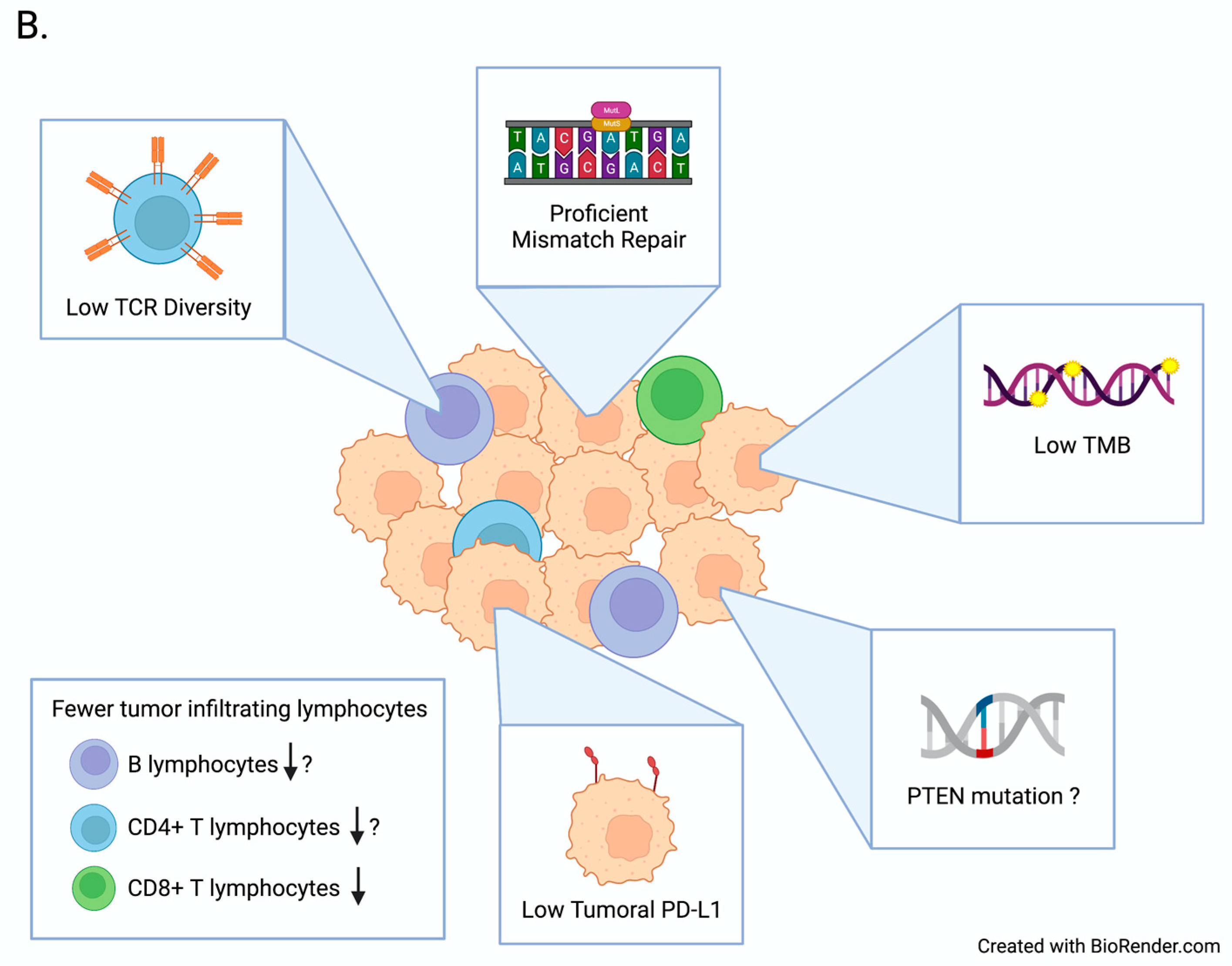 Biomedicines 09 01863 g001b 550
