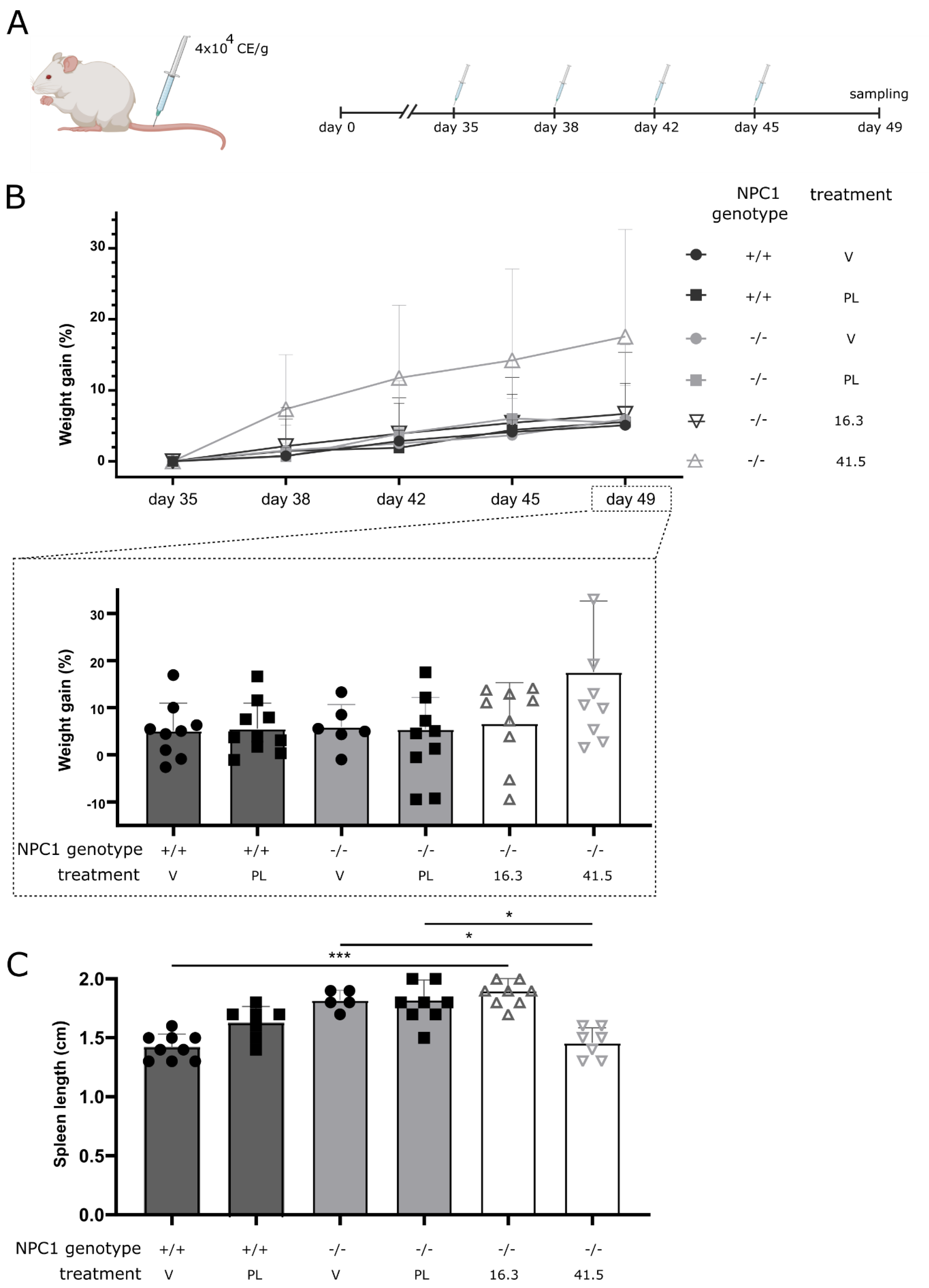 Biomedicines 09 01864 g001 550