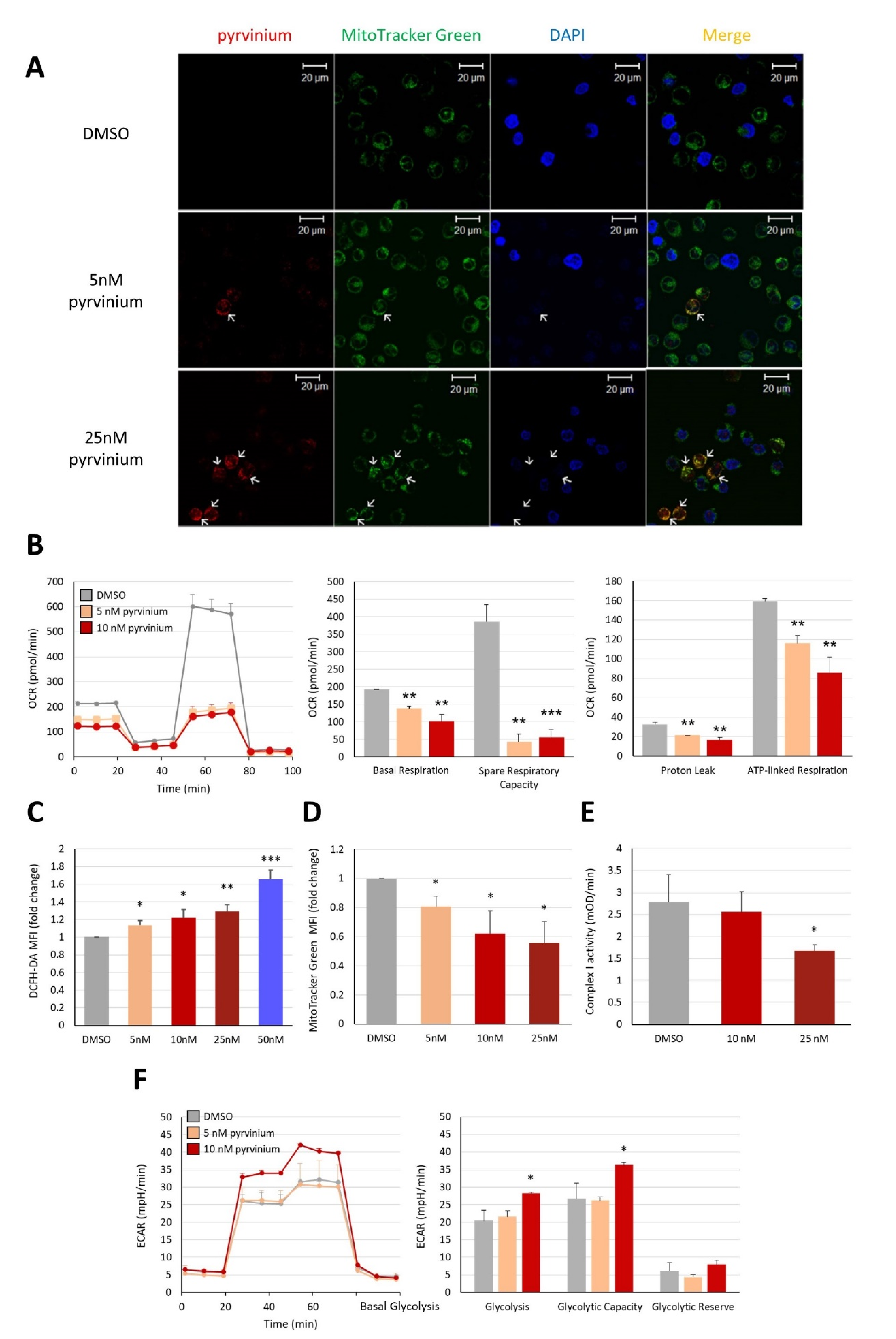 Biomedicines 09 01869 g003