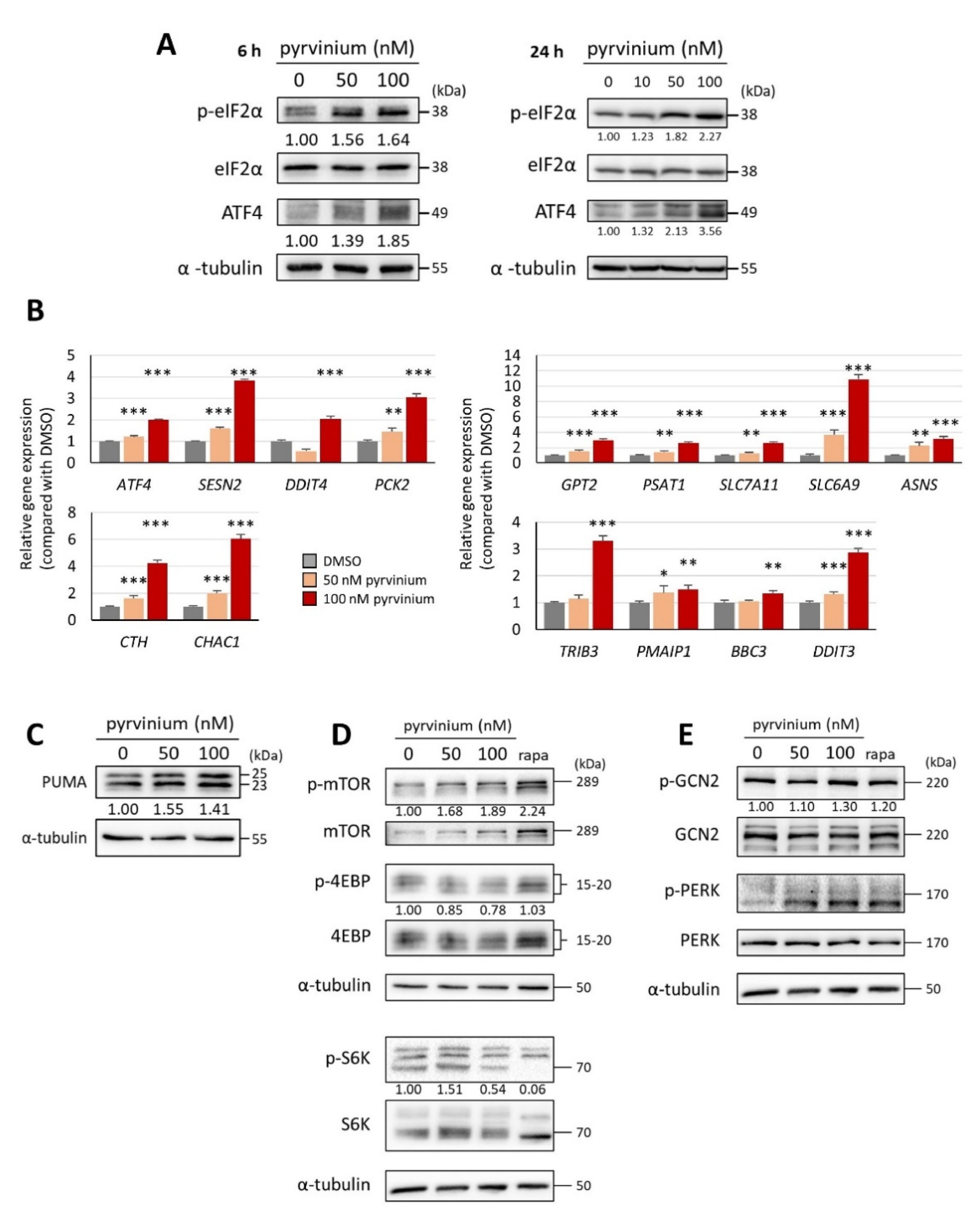 Biomedicines 09 01869 g004