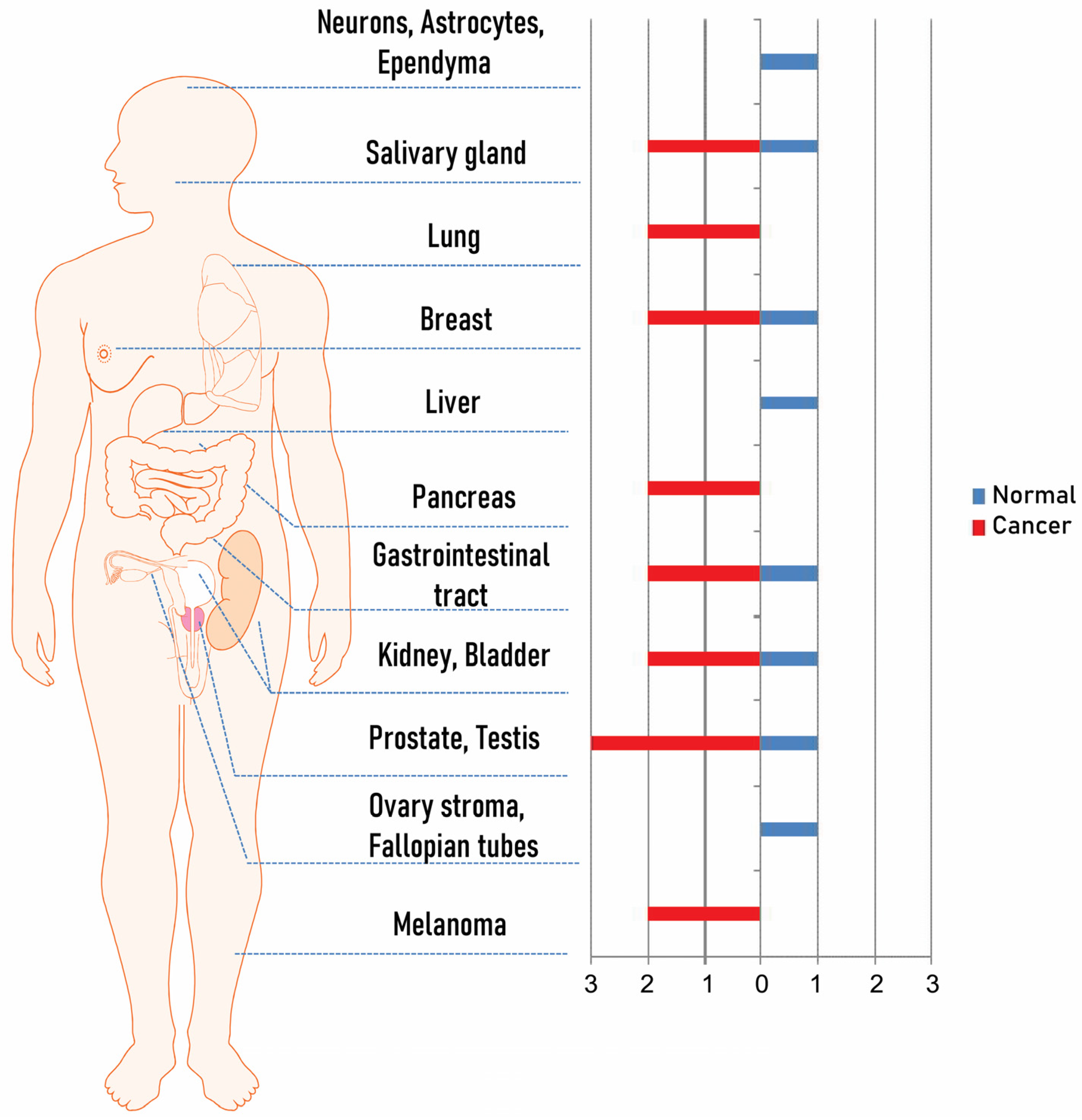 Biomedicines 09 01870 g001 550