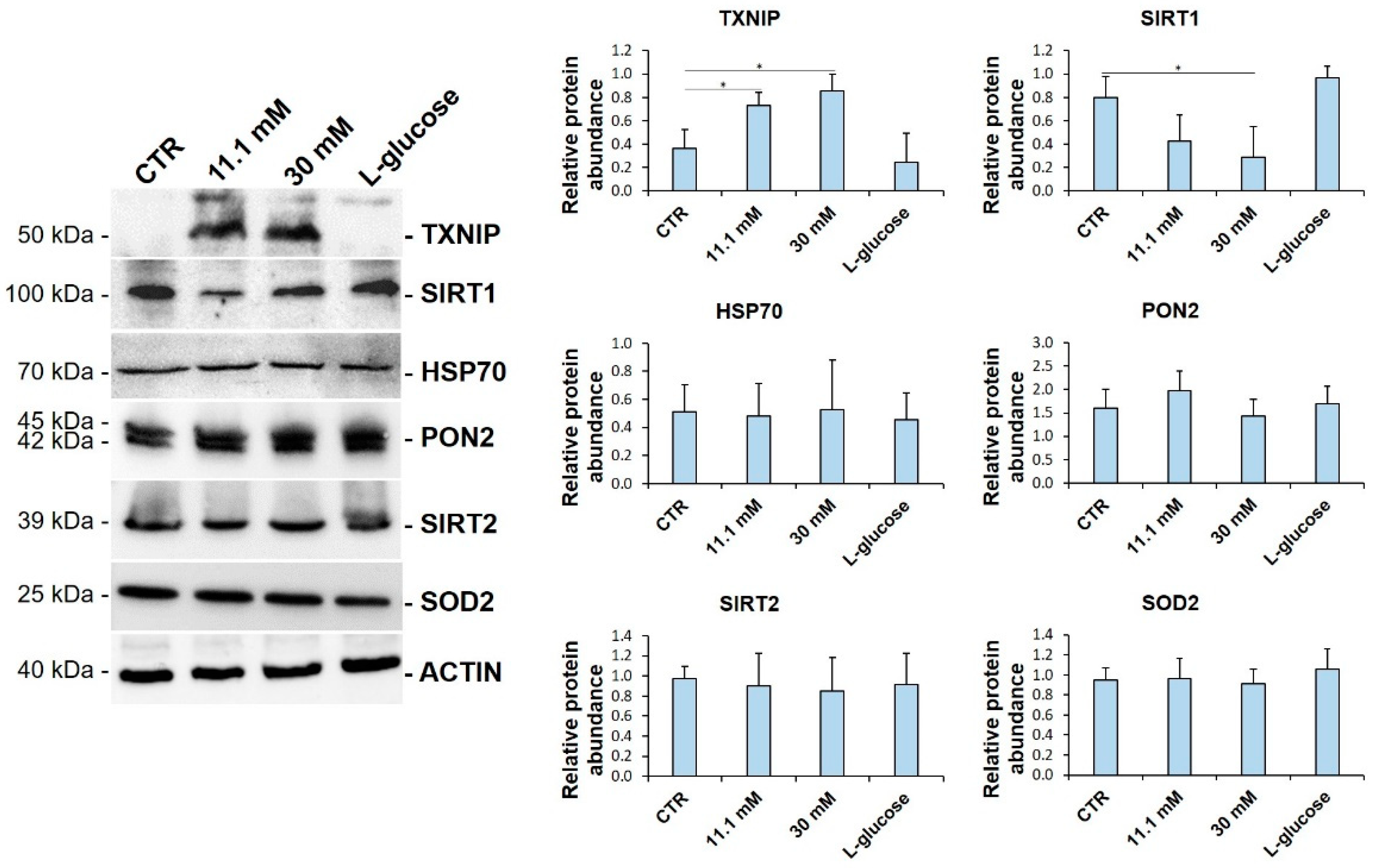 Biomedicines 09 01874 g001