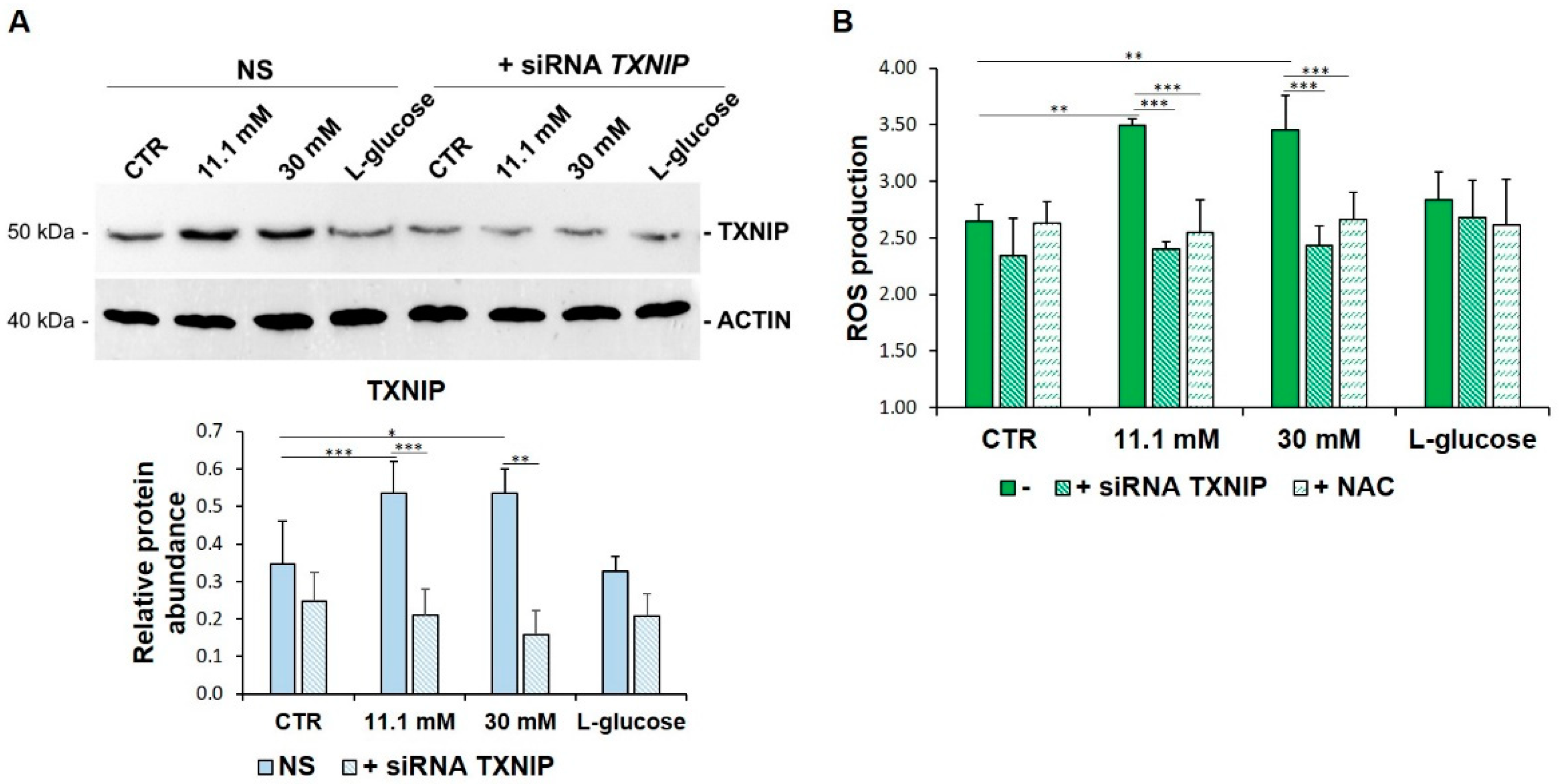 Biomedicines 09 01874 g002