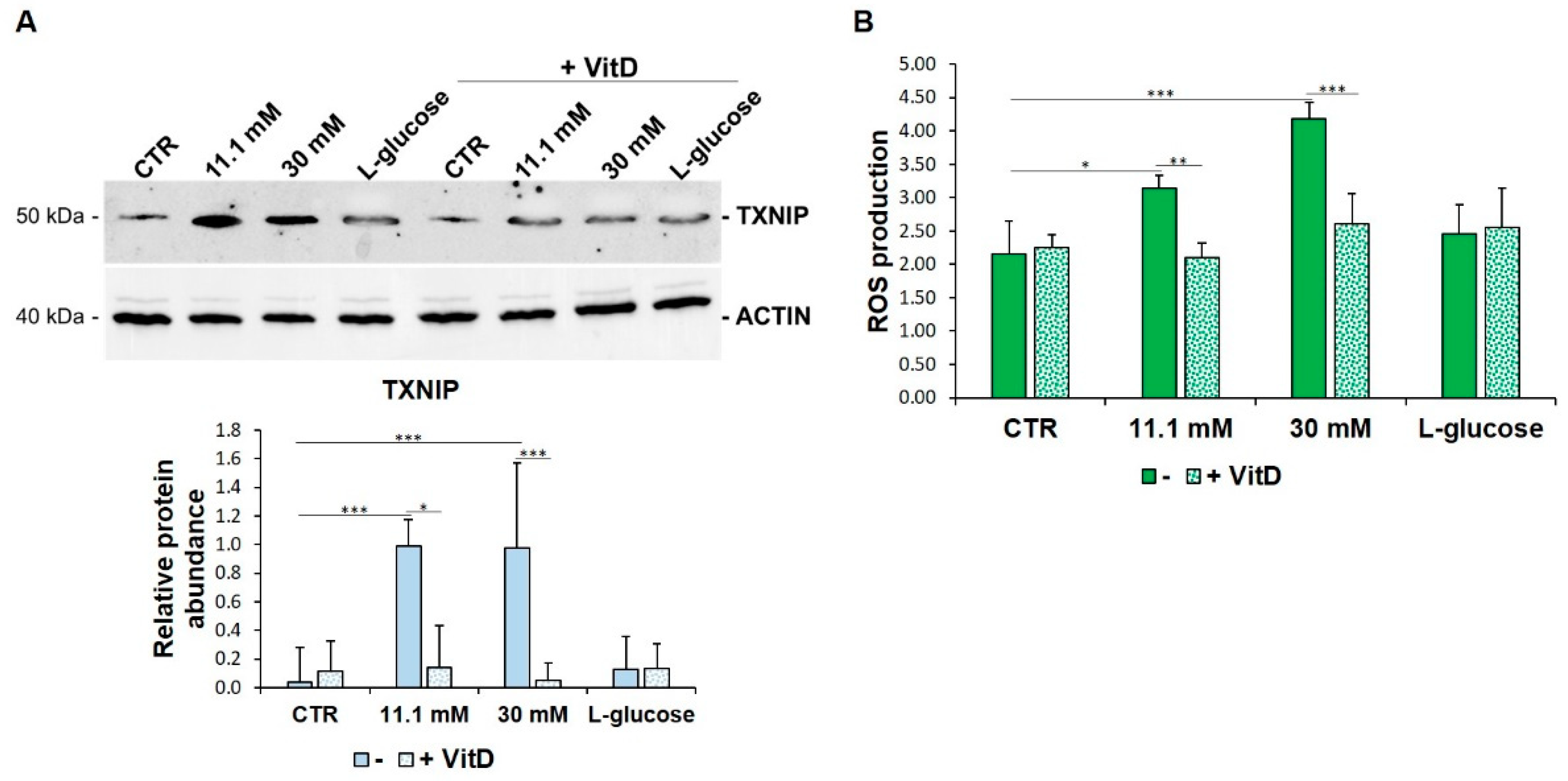 Biomedicines 09 01874 g003