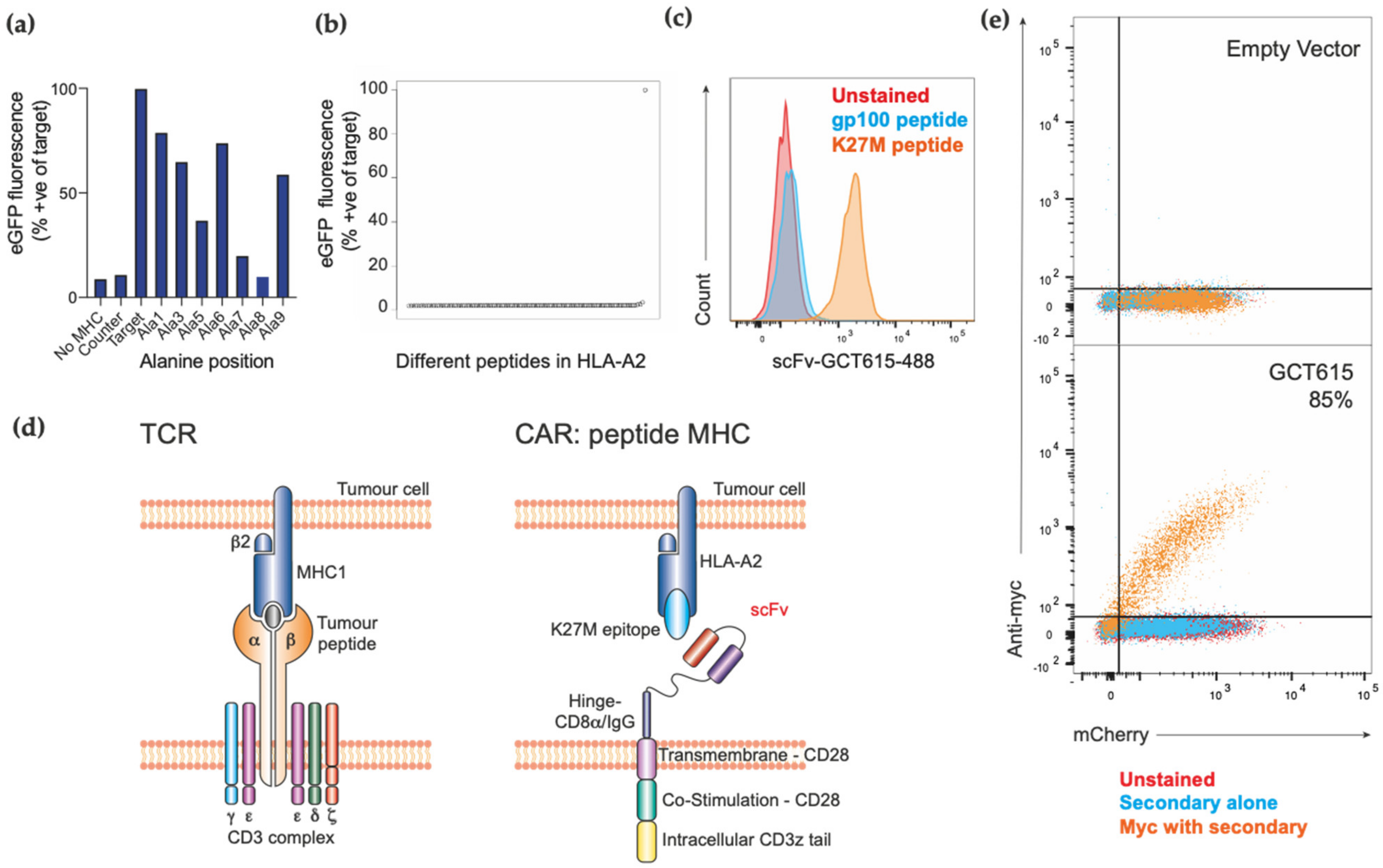 Biomedicines 09 01875 g001