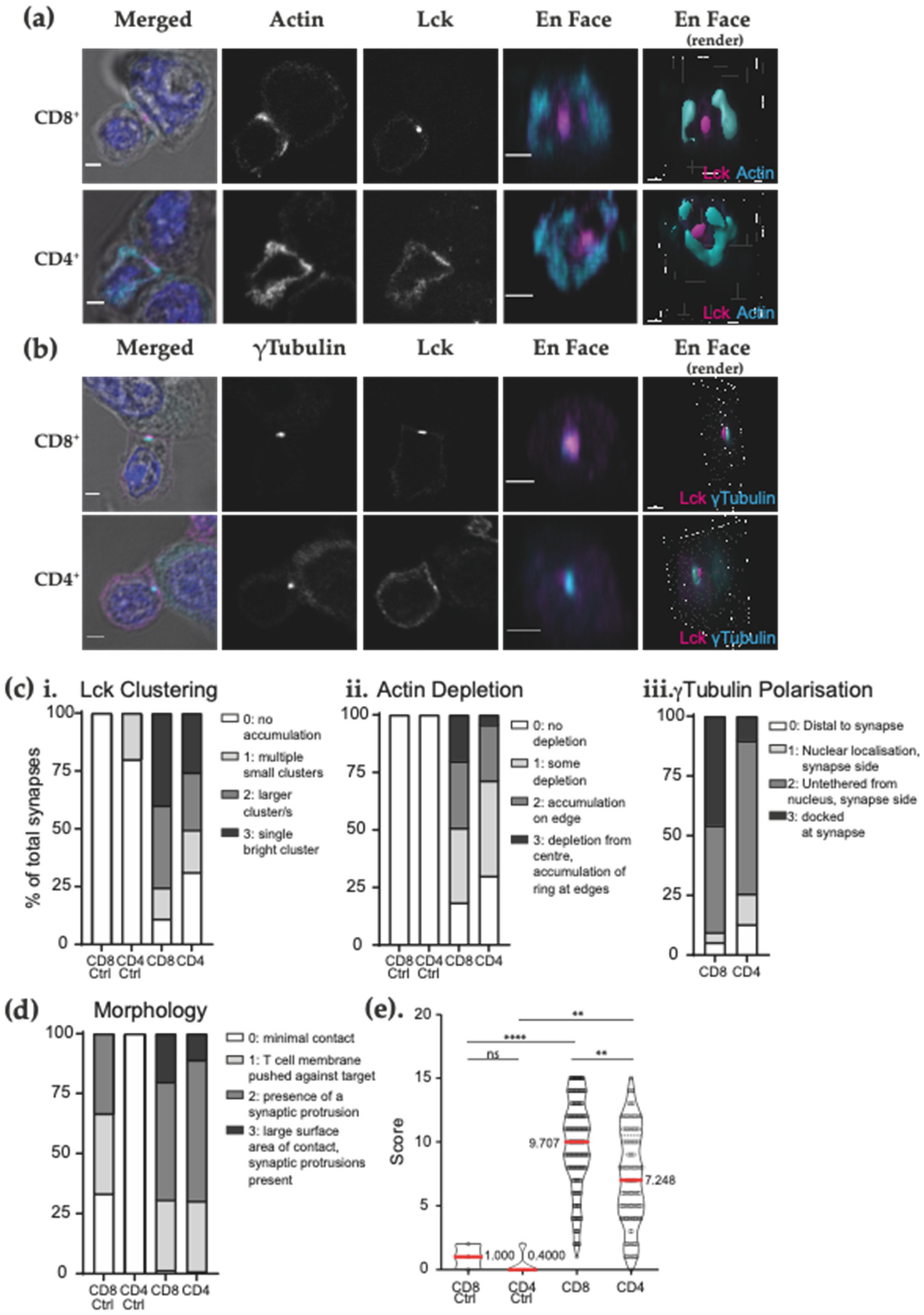 Biomedicines 09 01875 g004