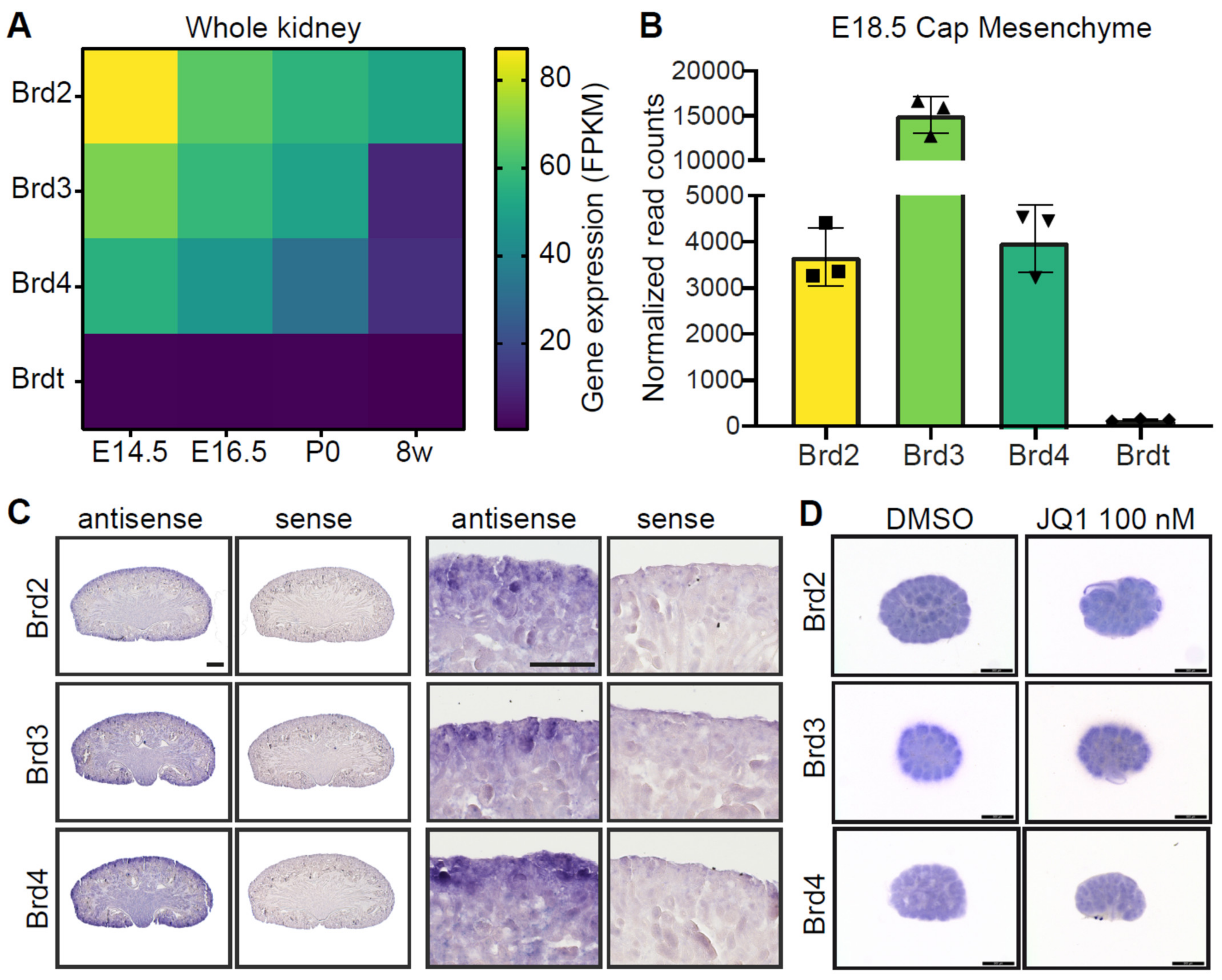 Biomedicines 09 01878 g001 550