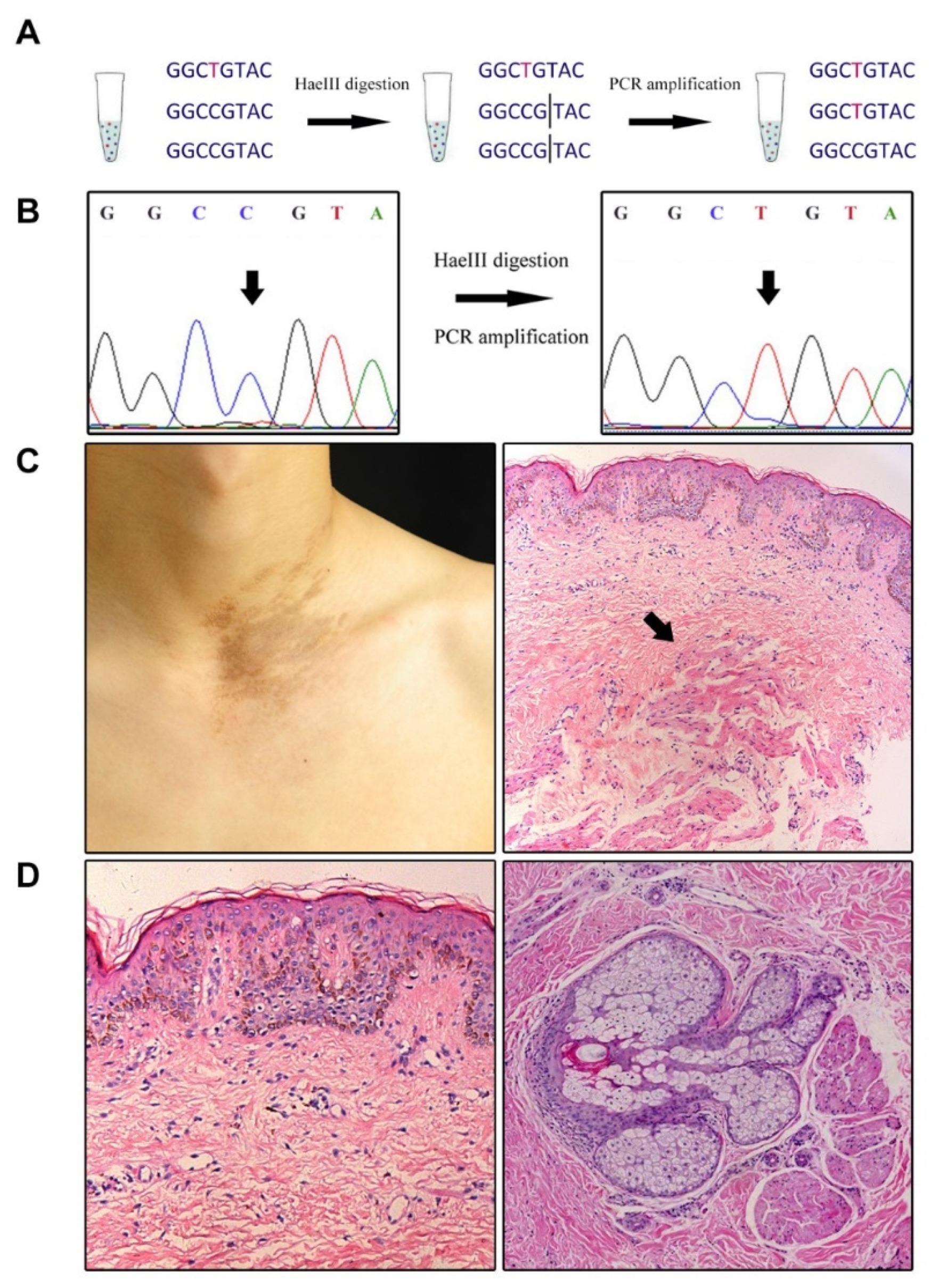 Biomedicines 09 01879 g001 Biomedicines 09 01879 g001