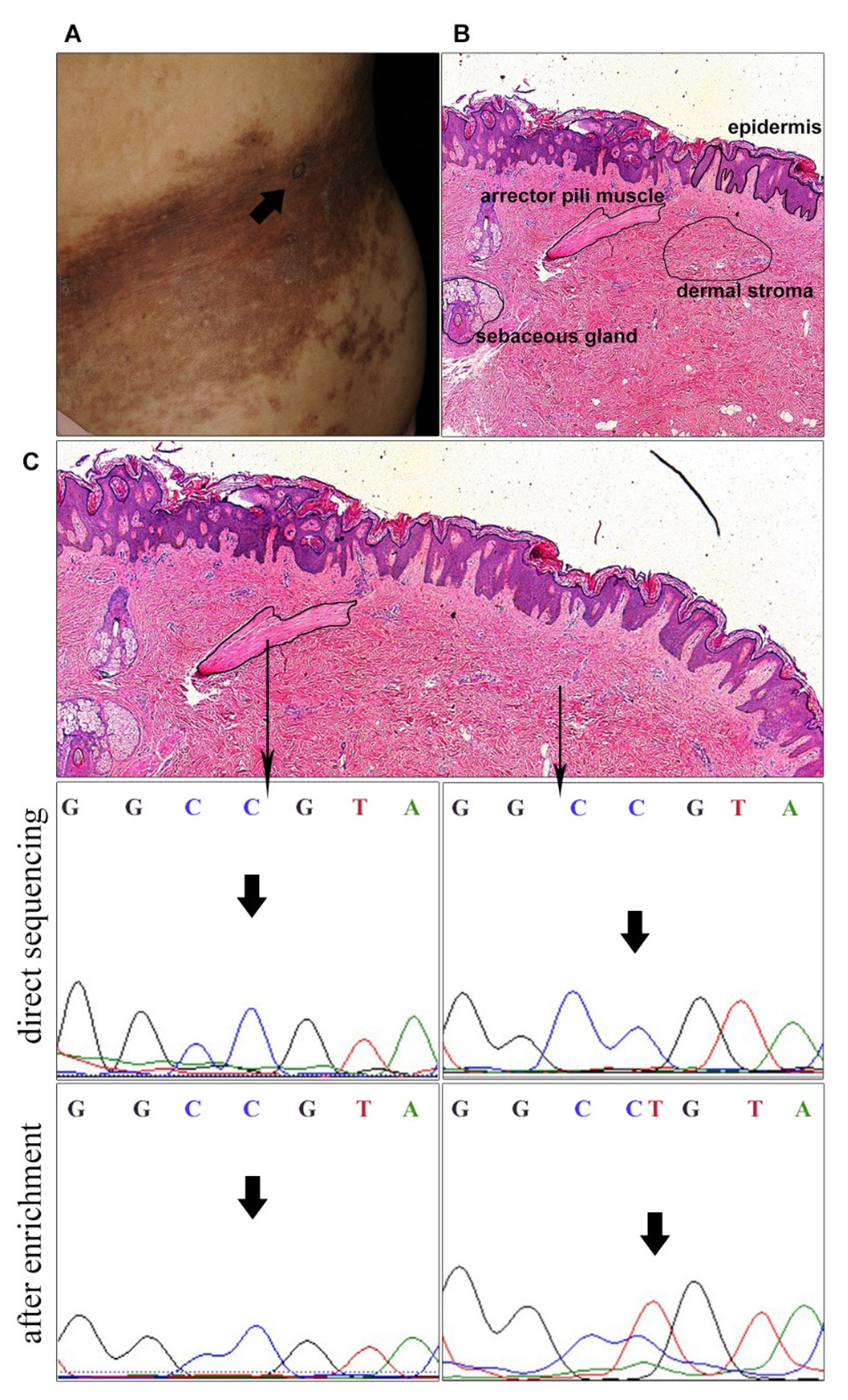 Biomedicines 09 01879 g002 Biomedicines 09 01879 g002