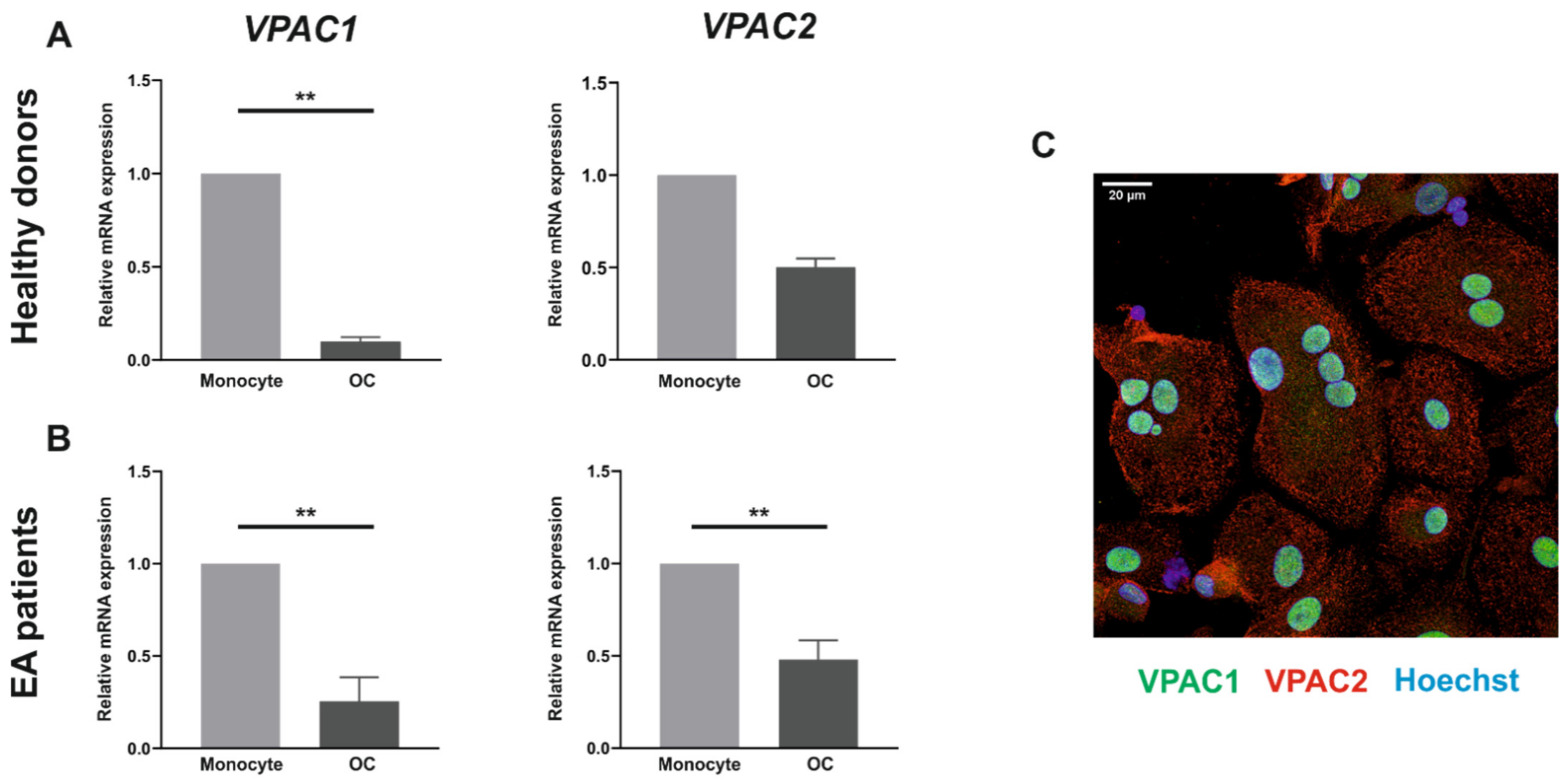 Biomedicines 09 01880 g001 Biomedicines 09 01880 g001