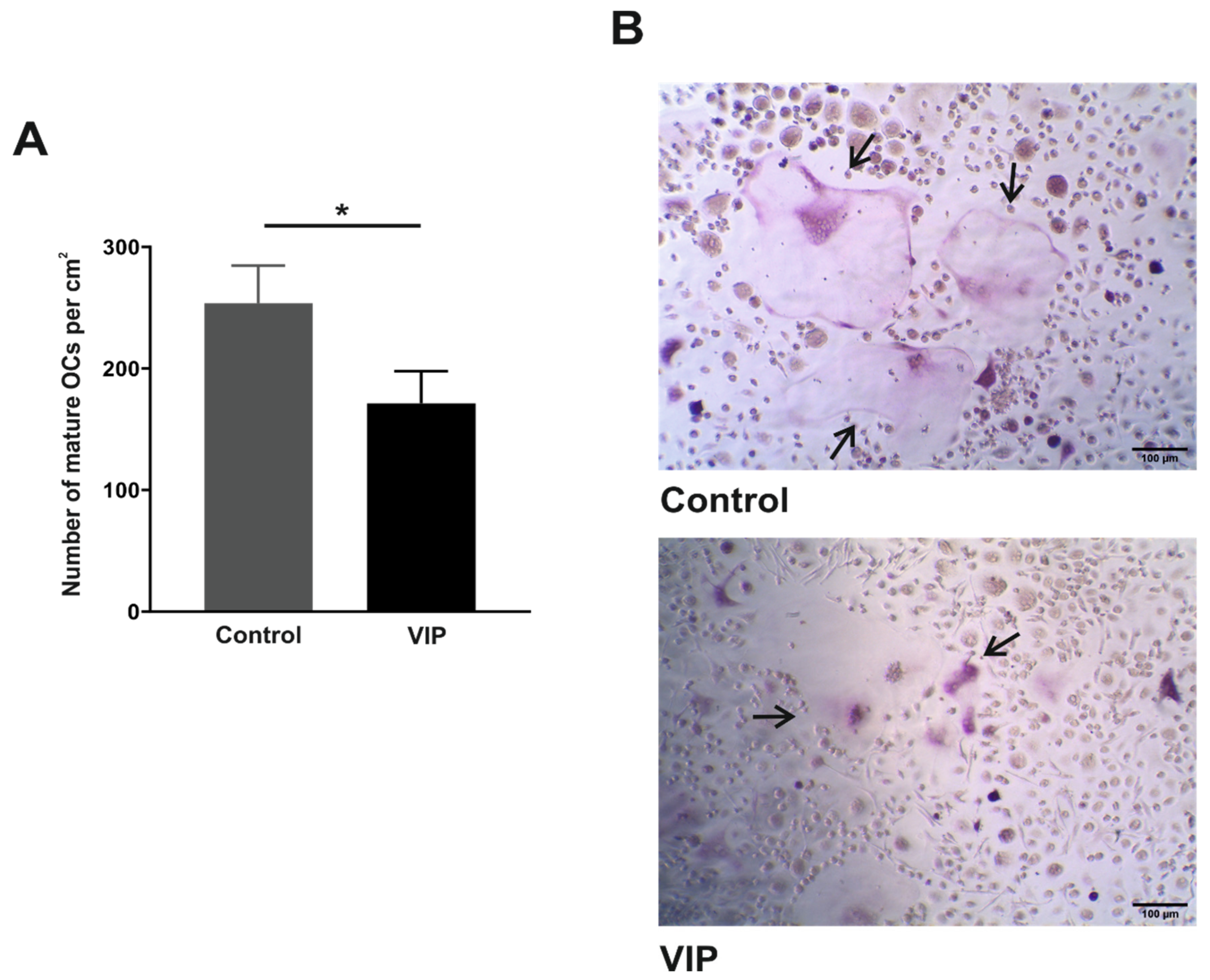 Biomedicines 09 01880 g002 Biomedicines 09 01880 g002