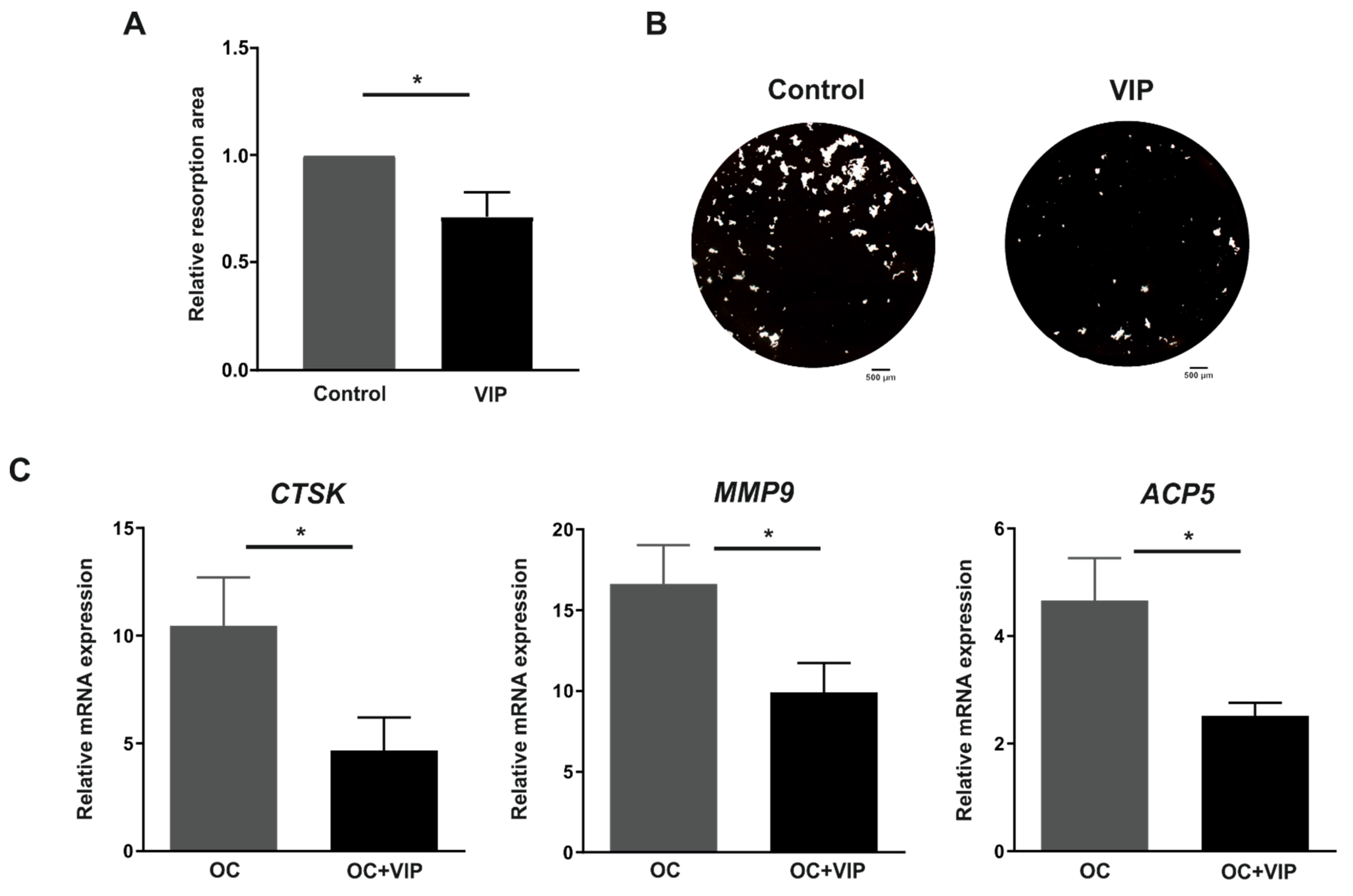 Biomedicines 09 01880 g004 Biomedicines 09 01880 g004