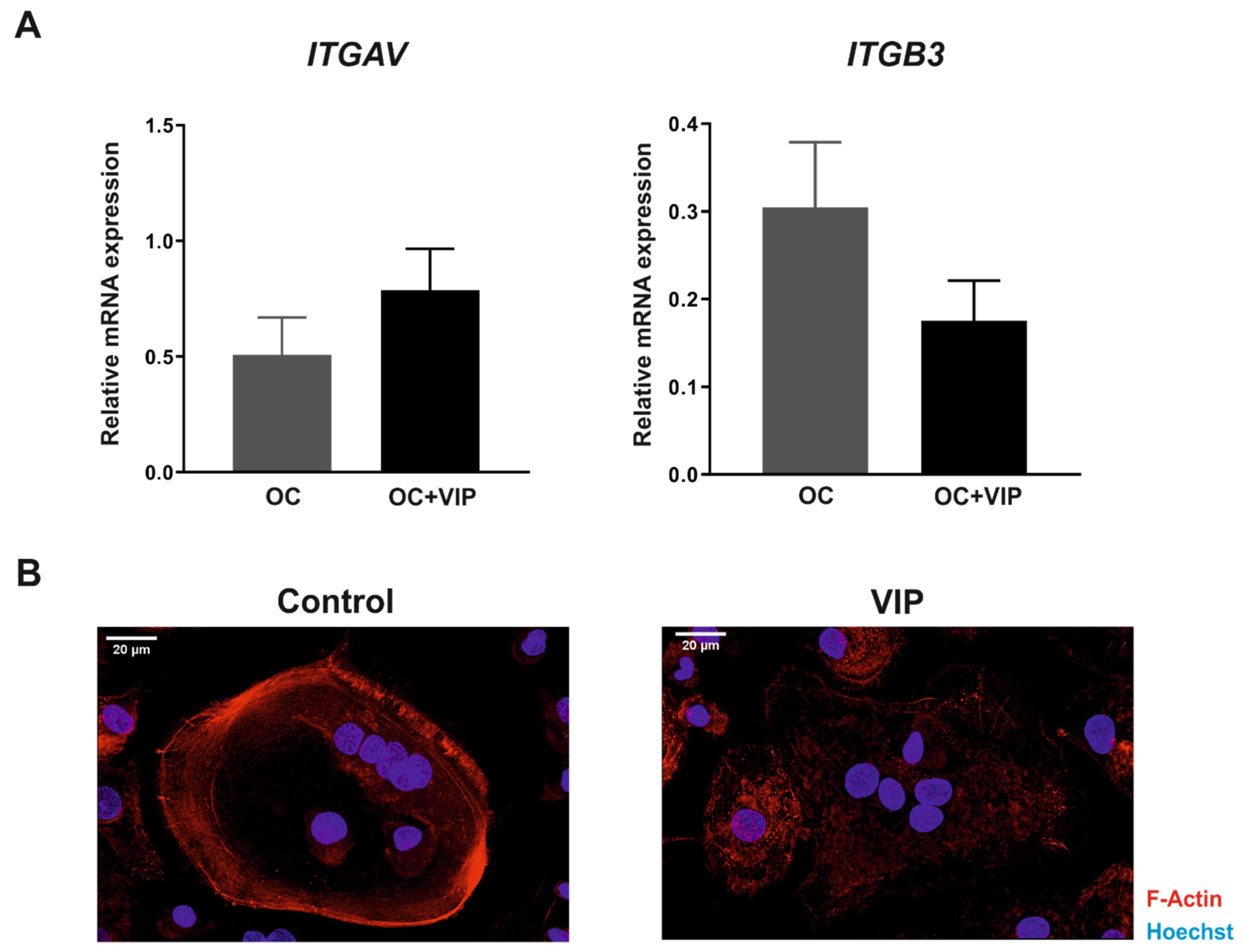 Biomedicines 09 01880 g005 Biomedicines 09 01880 g005