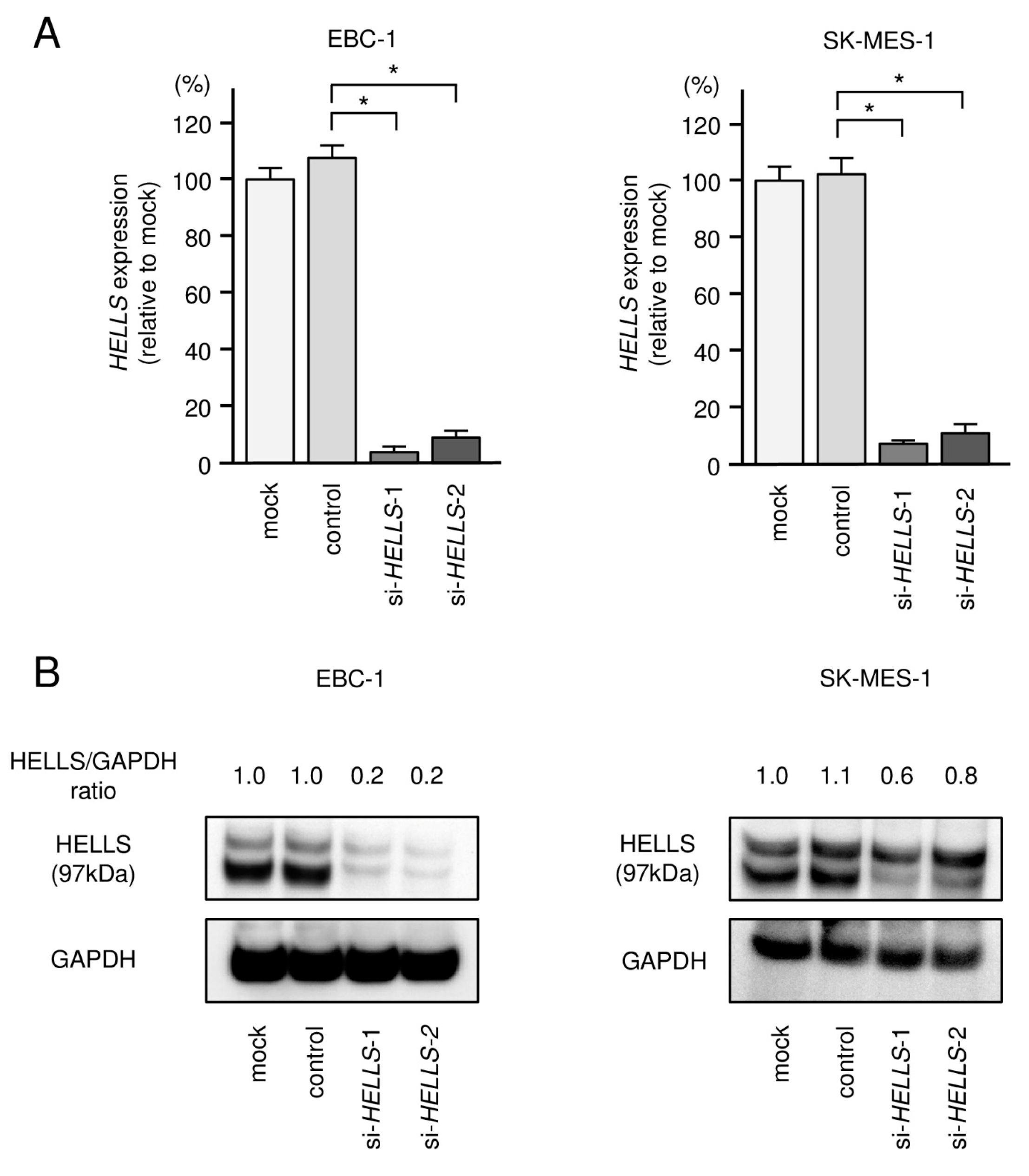 Biomedicines 09 01883 g007