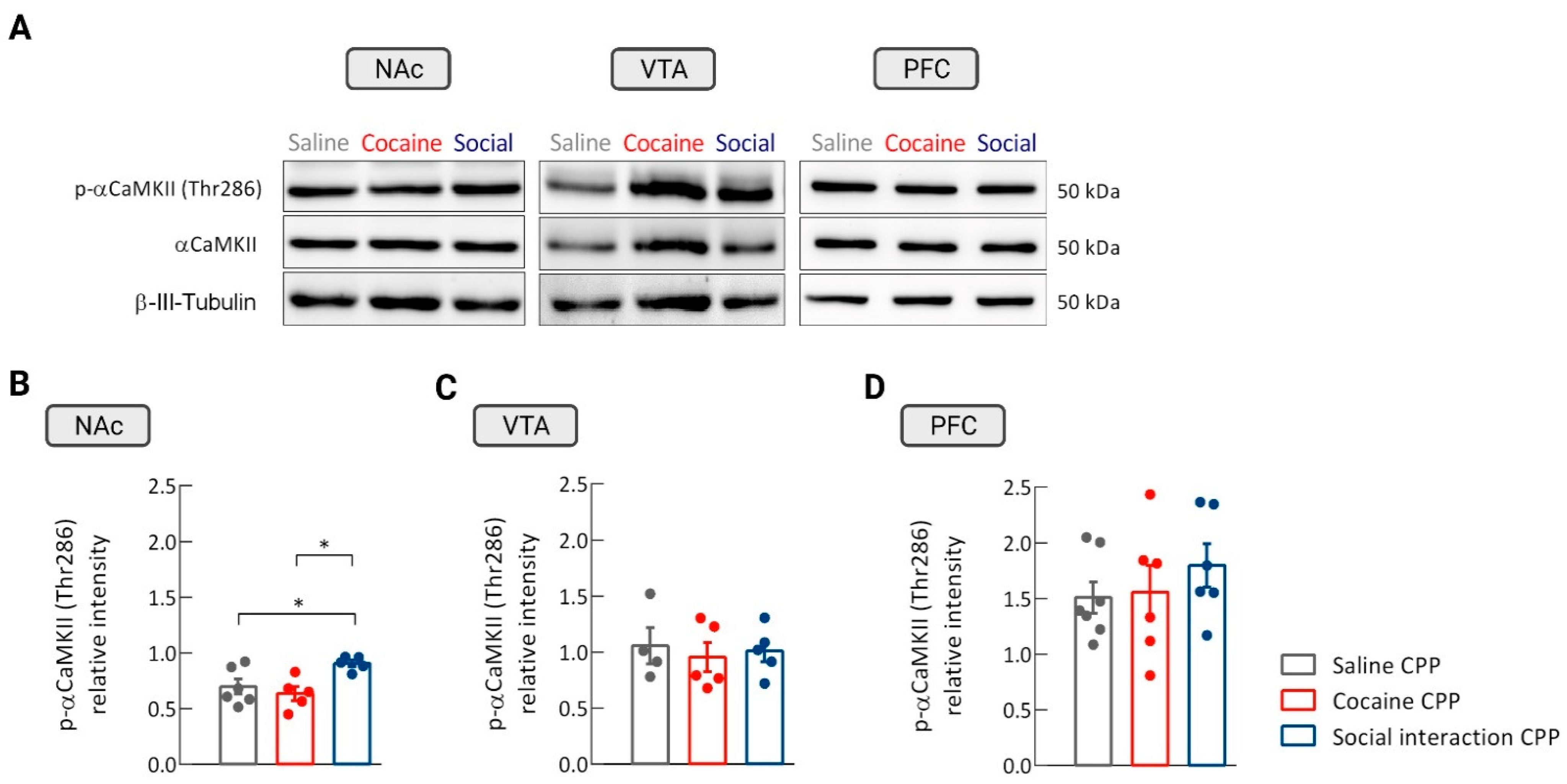 Biomedicines 09 01886 g002 Biomedicines 09 01886 g002
