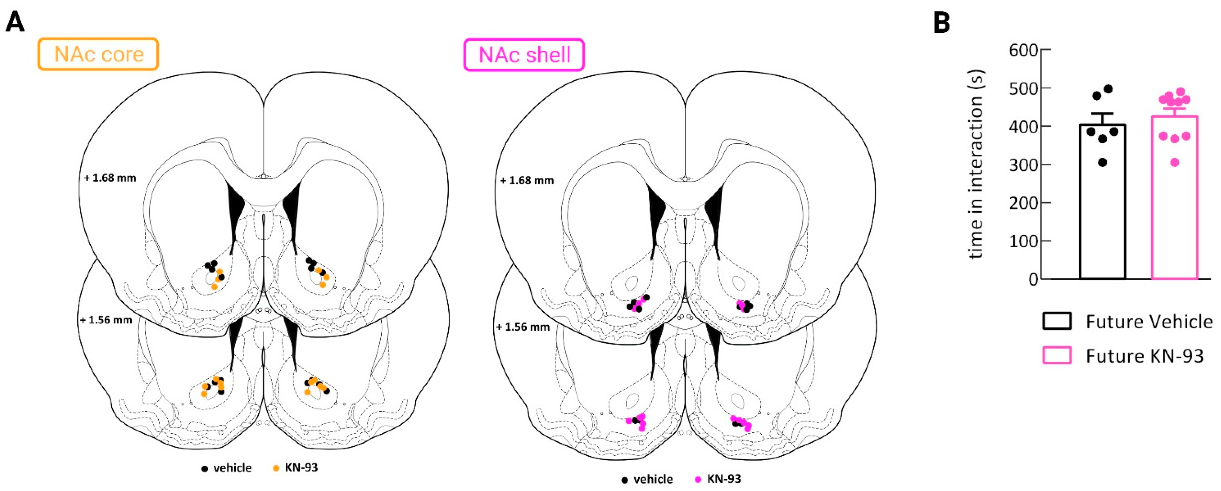 Biomedicines 09 01886 g0a2 Biomedicines 09 01886 g0a2