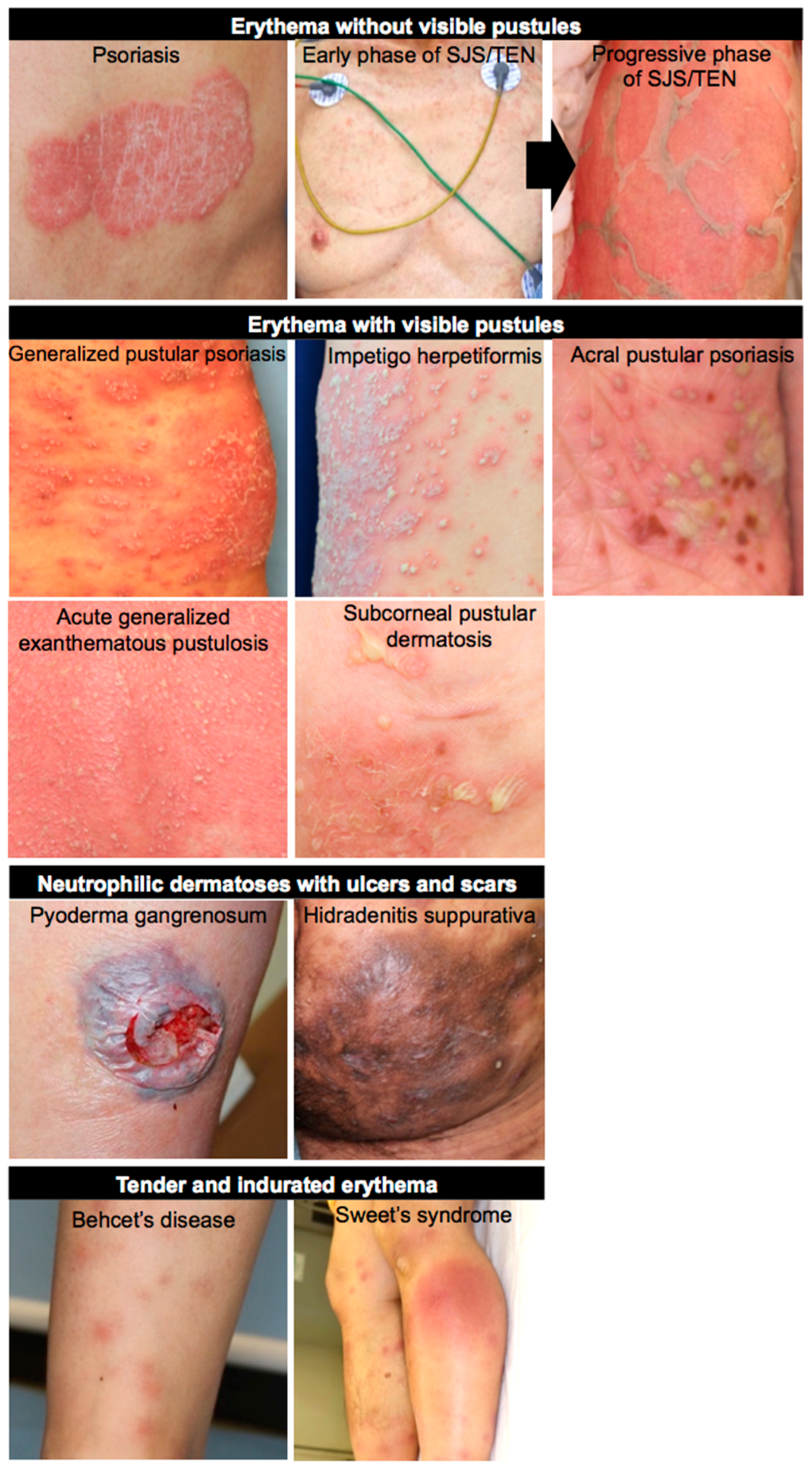 Biomedicines 09 01888 g001