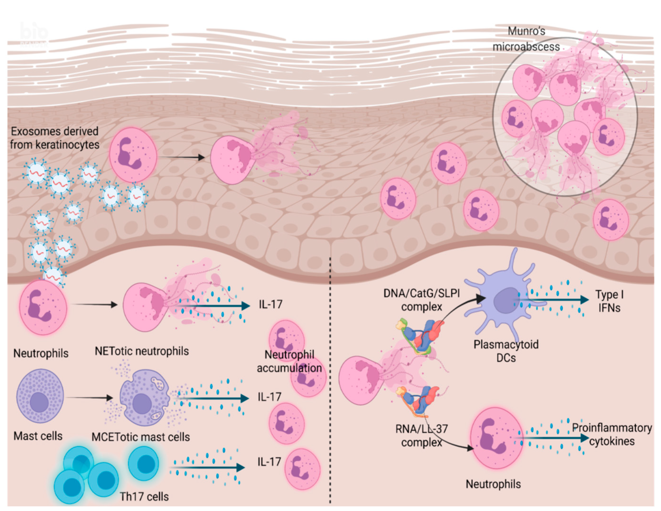 Biomedicines 09 01888 g002
