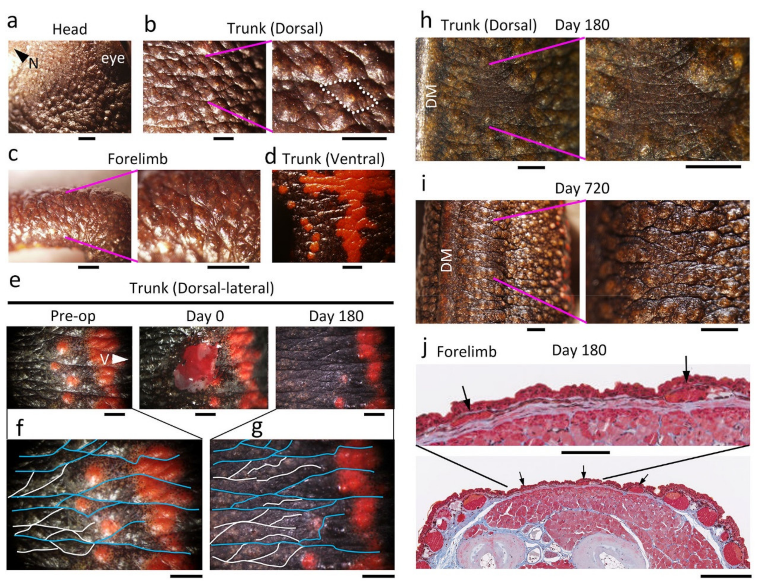 Biomedicines 09 01892 g016