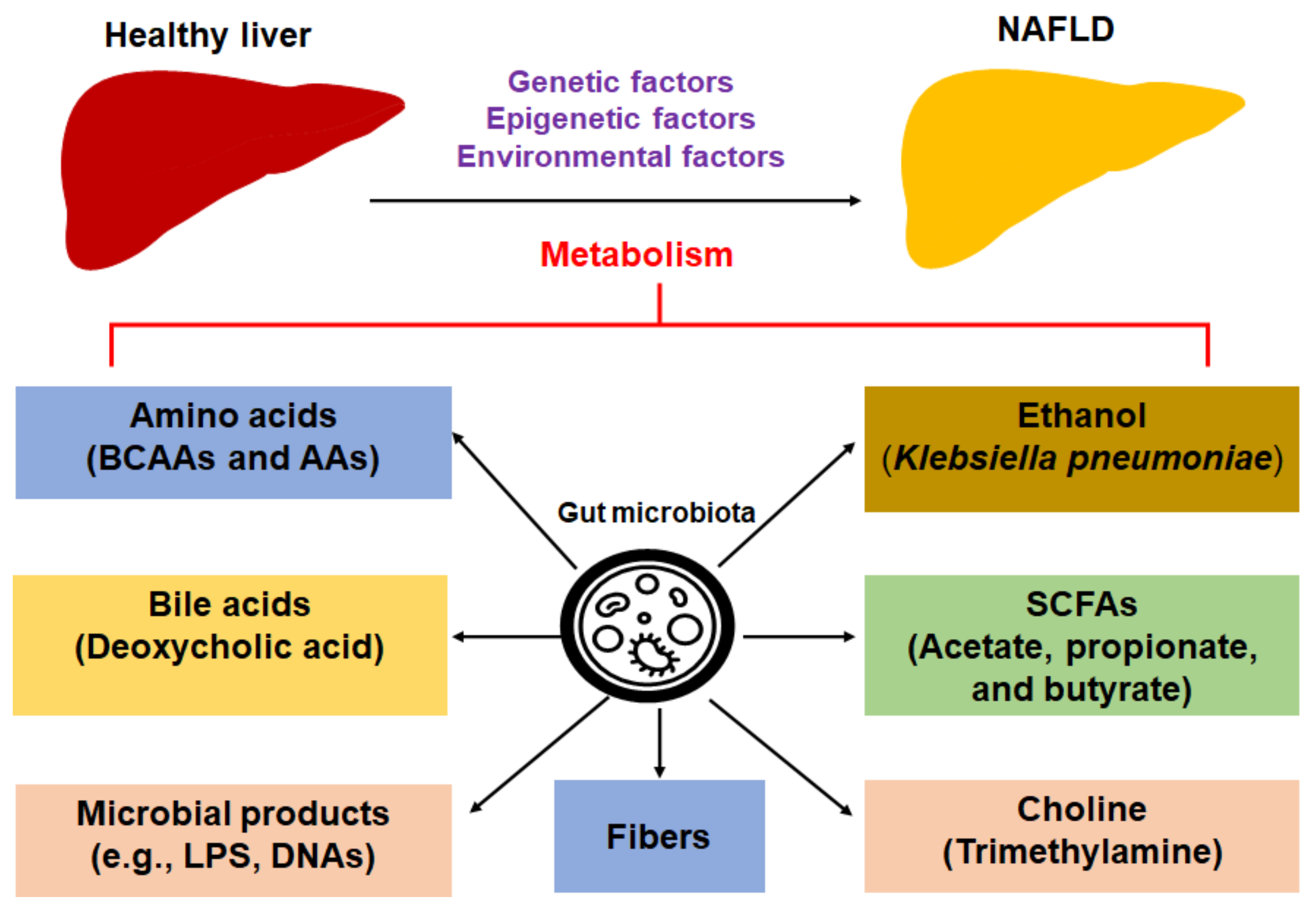 Biomedicines 09 01893 g001 550