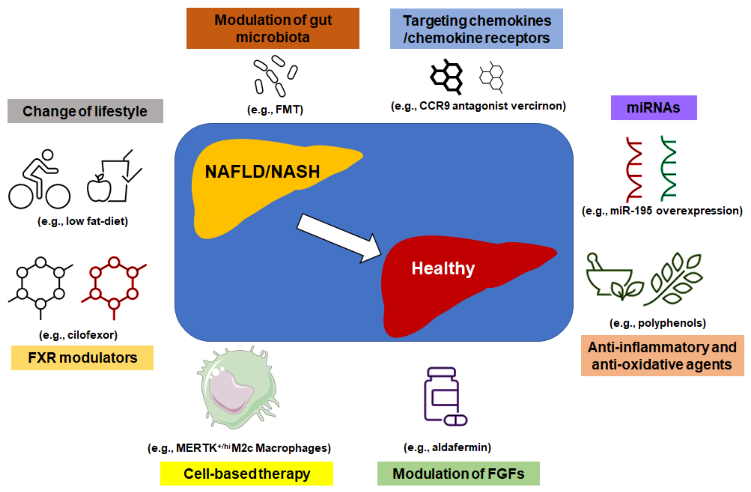 Biomedicines 09 01893 g003 550