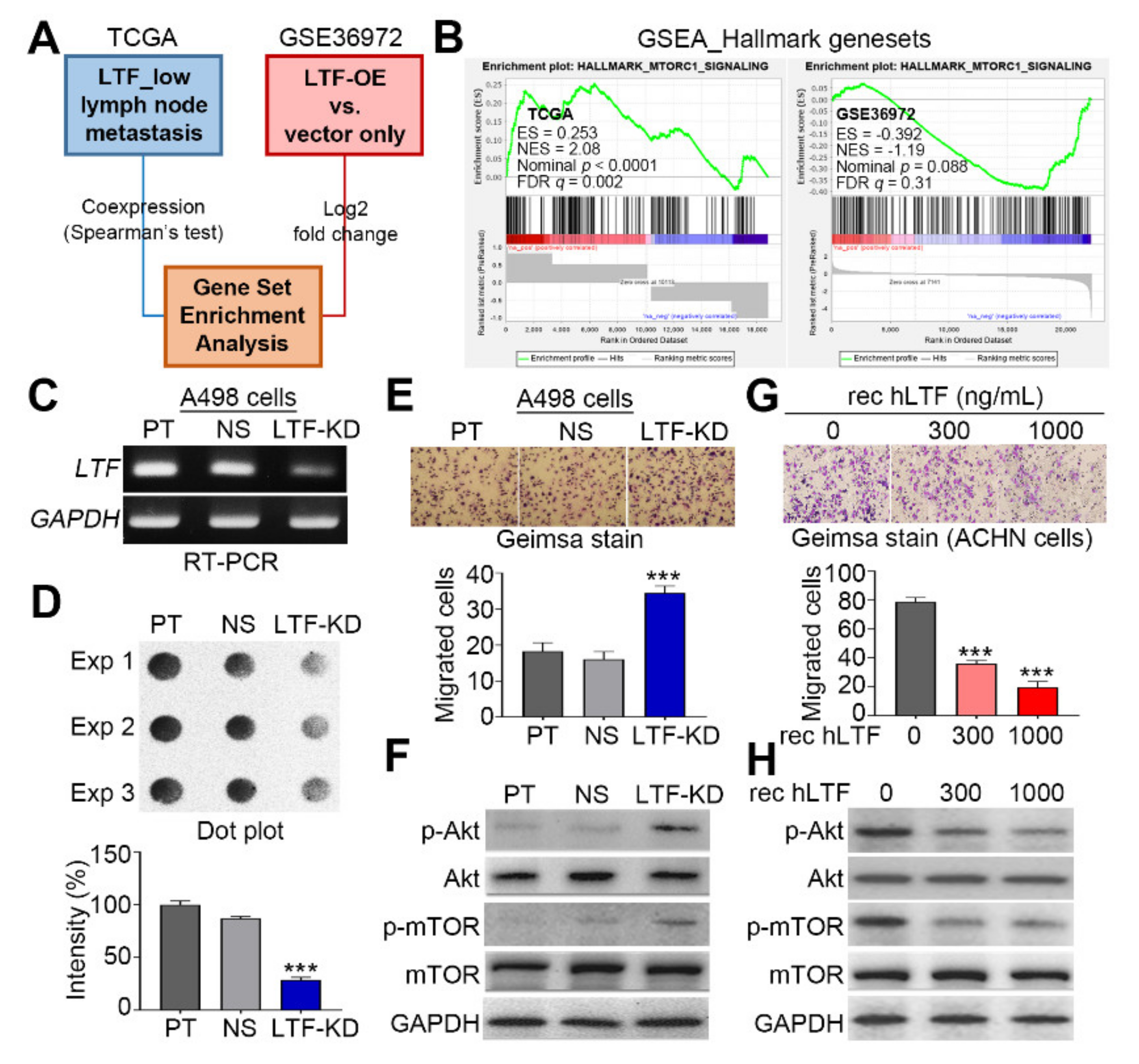 Biomedicines 09 01896 g001