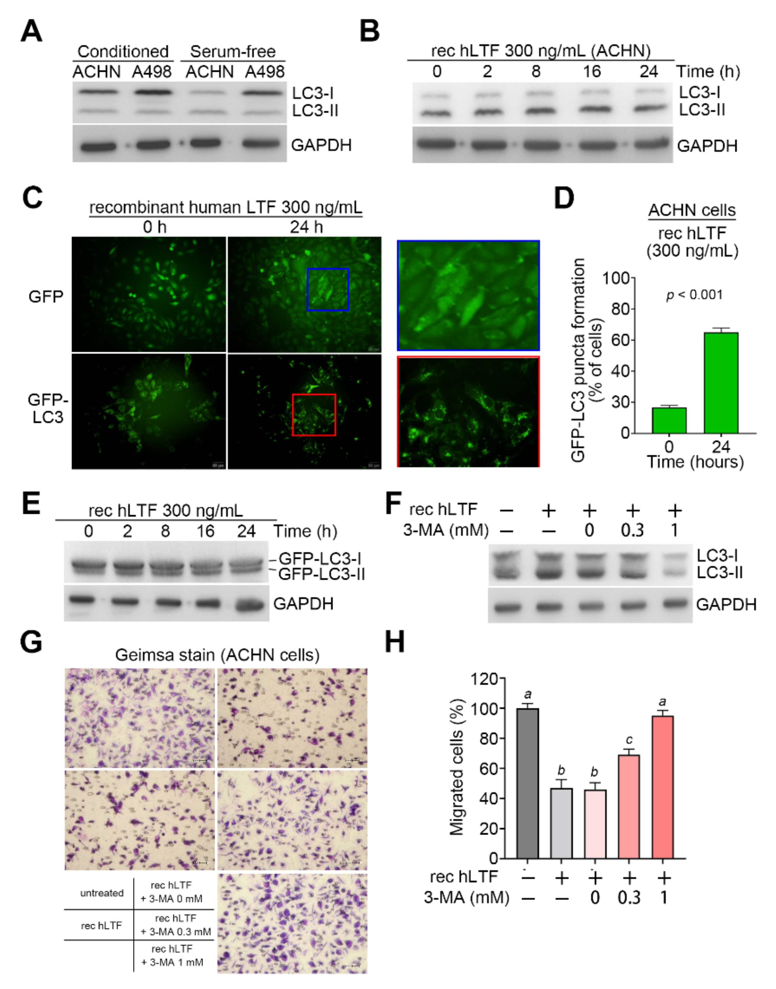 Biomedicines 09 01896 g003