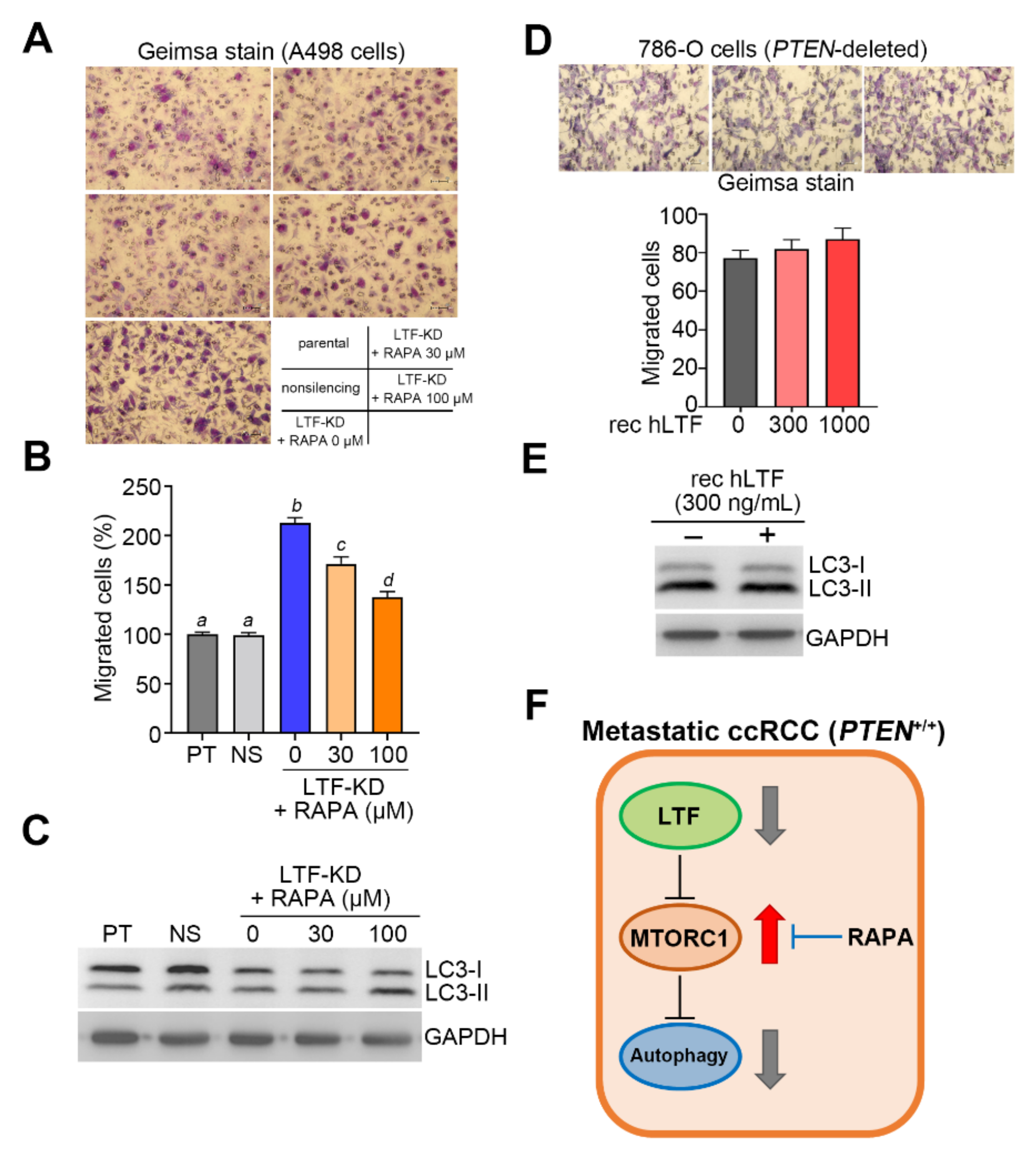Biomedicines 09 01896 g006