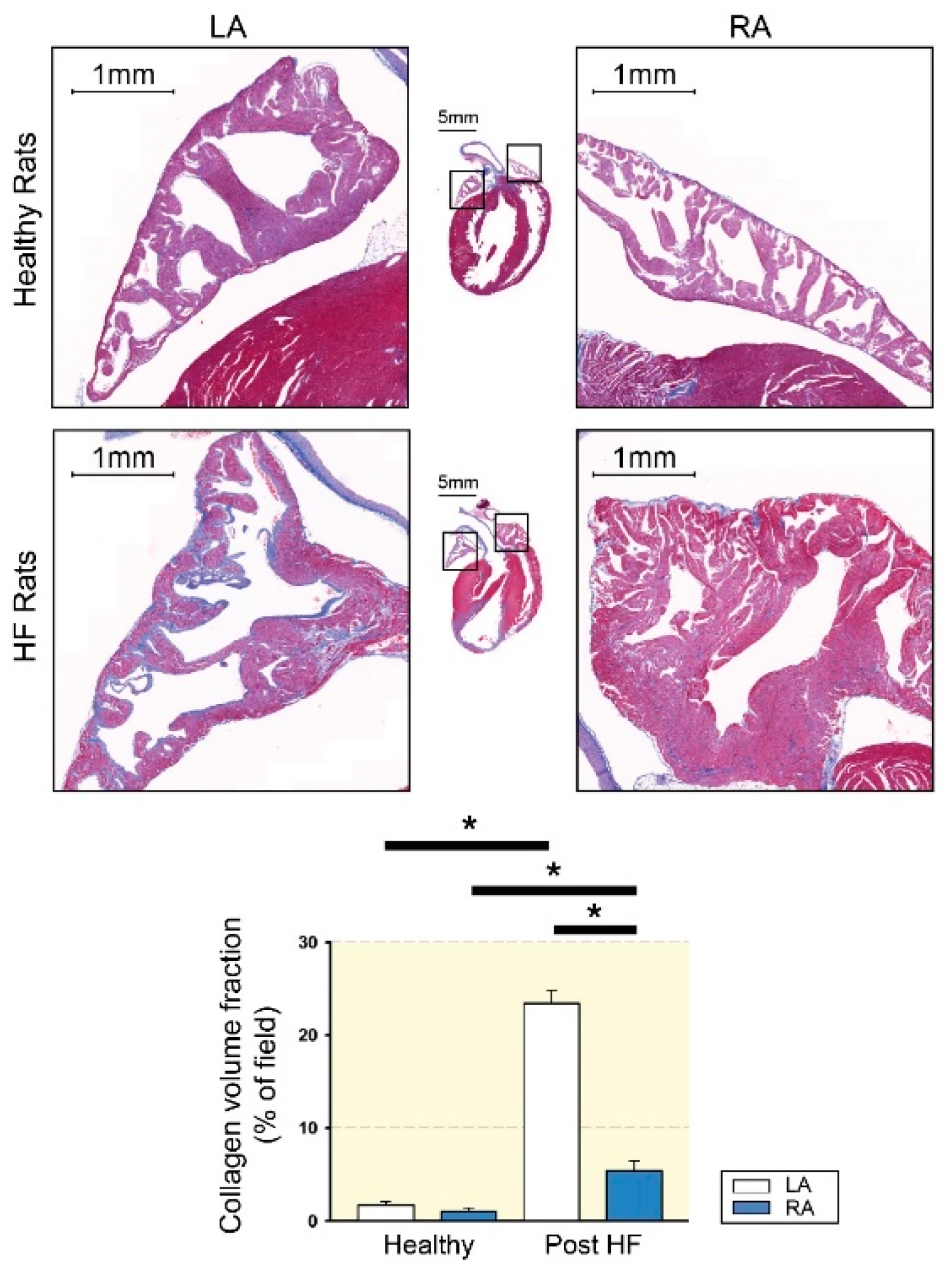 Biomedicines 09 01900 g001 Biomedicines 09 01900 g001
