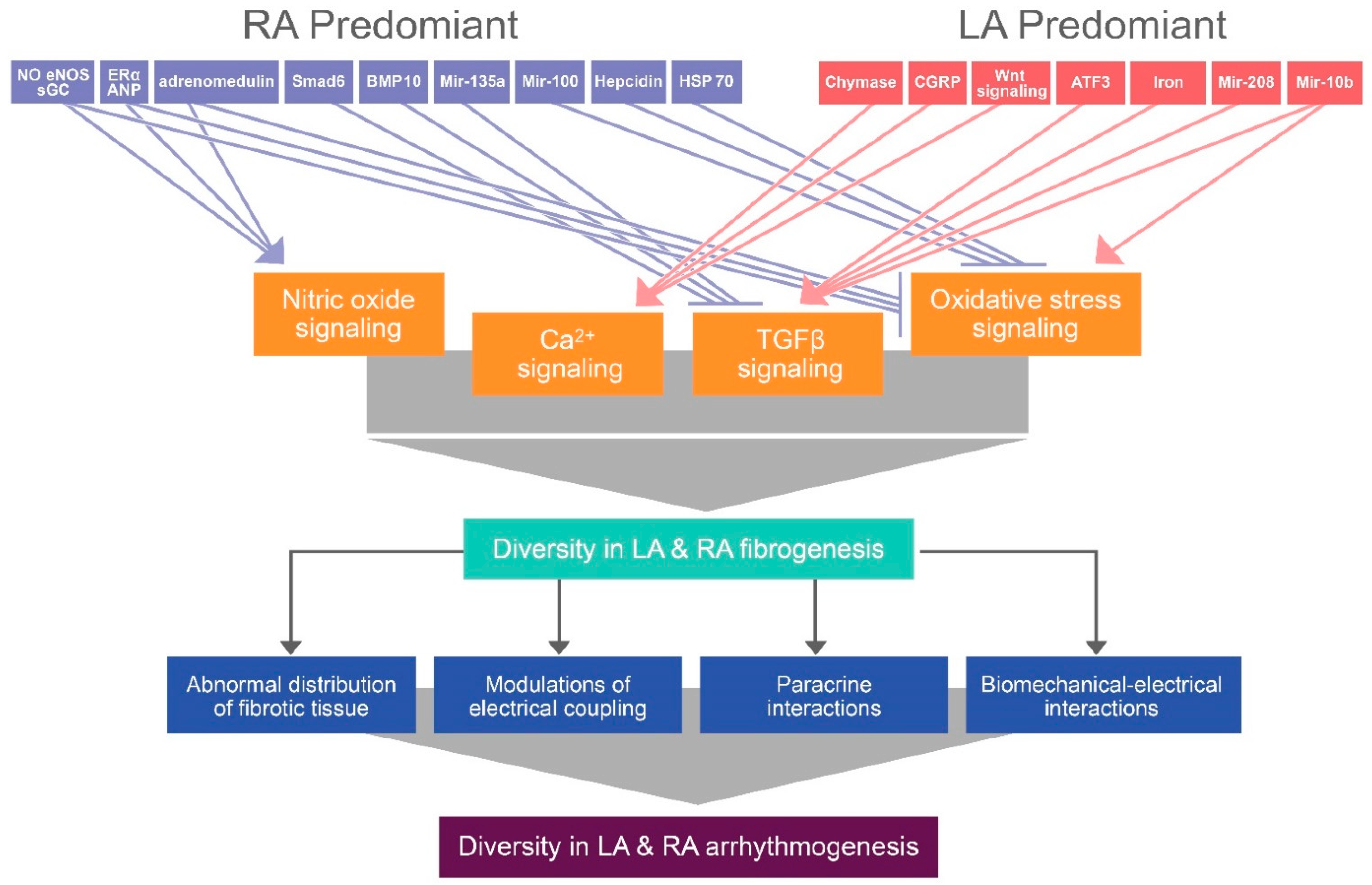 Biomedicines 09 01900 g003 Biomedicines 09 01900 g003