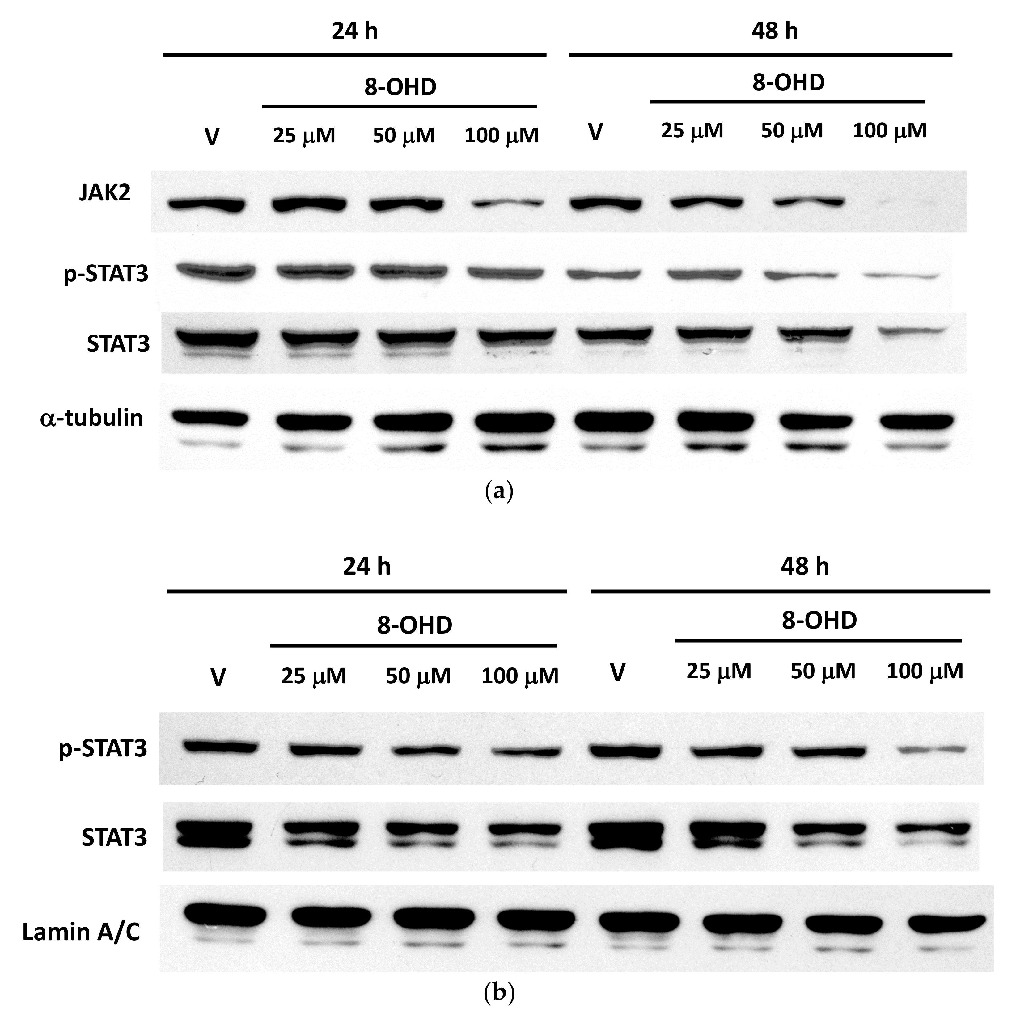 Biomedicines 09 01907 g003 Biomedicines 09 01907 g003