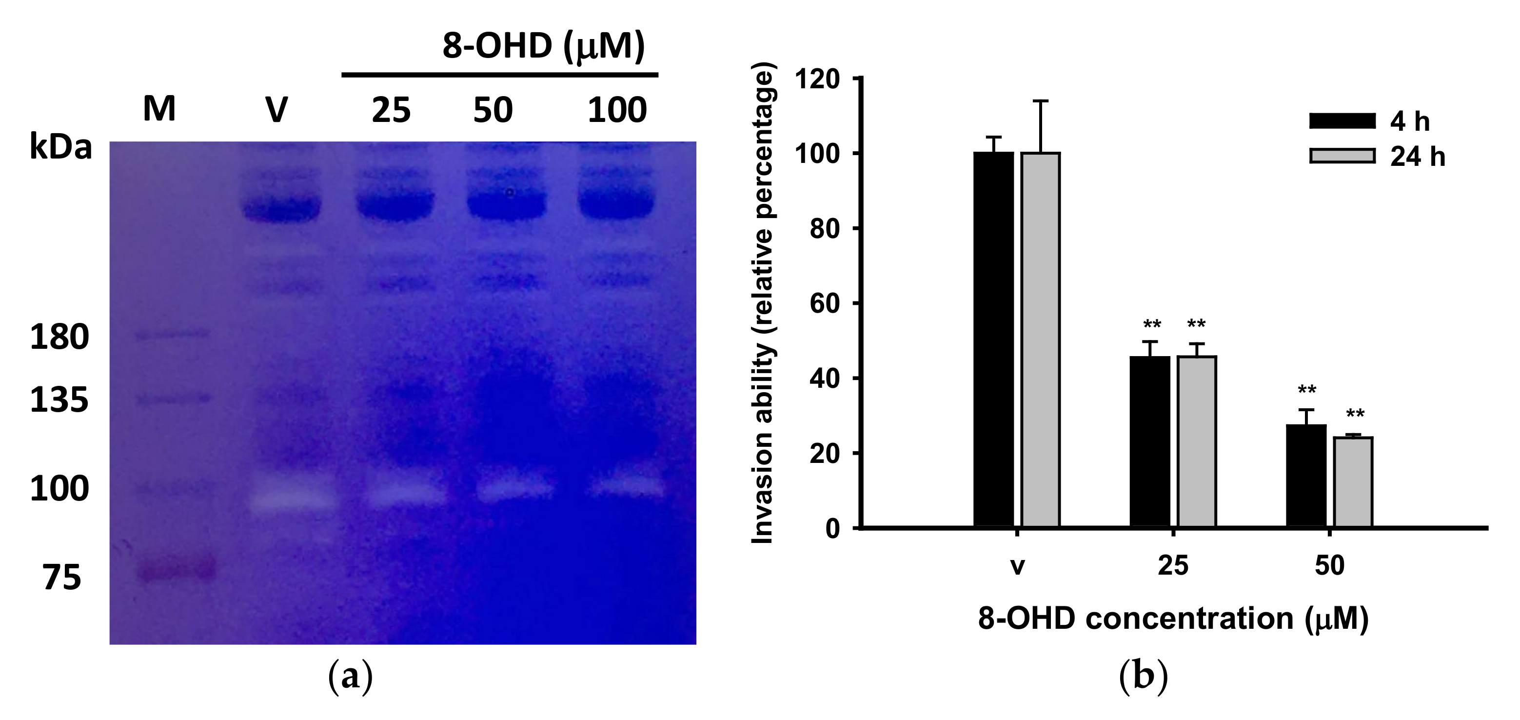 Biomedicines 09 01907 g005 Biomedicines 09 01907 g005