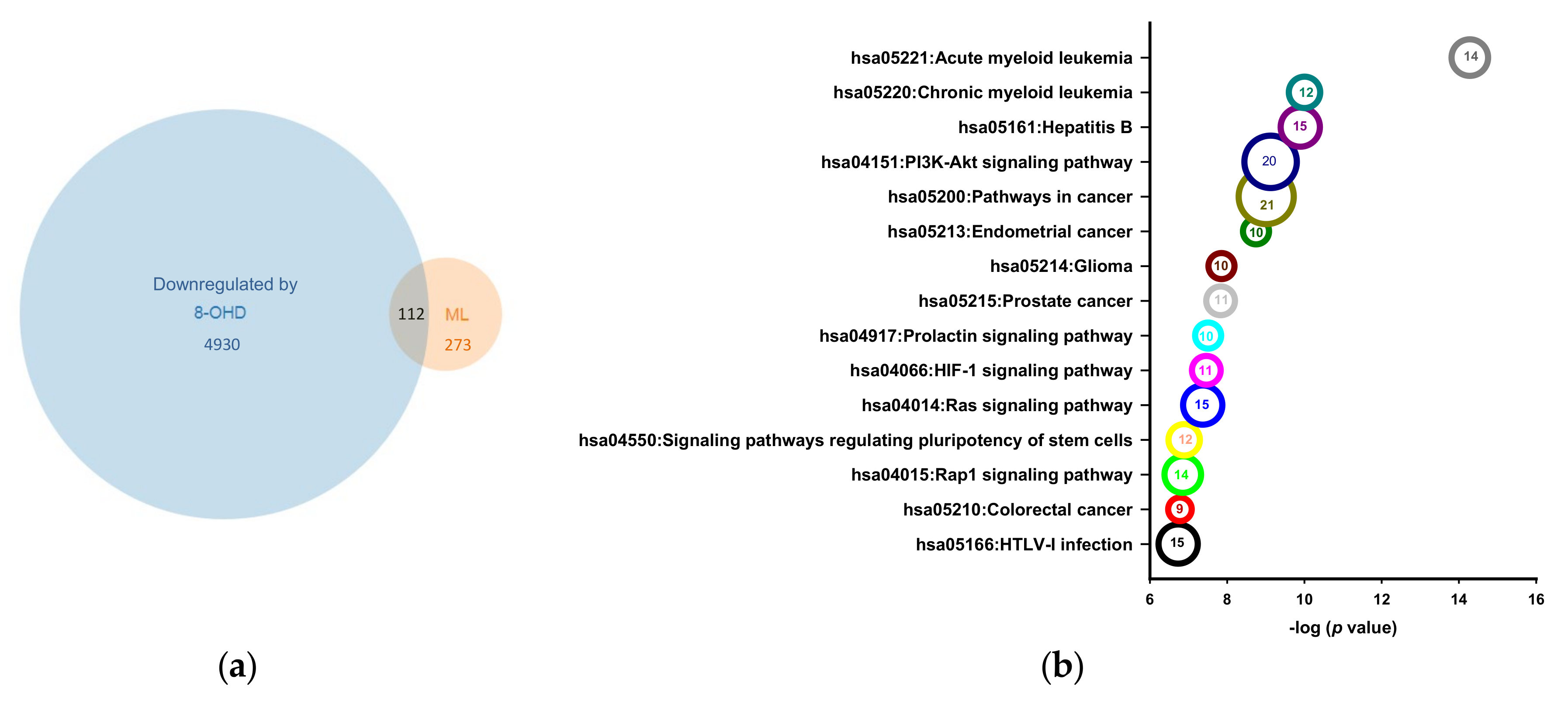 Biomedicines 09 01907 g008a Biomedicines 09 01907 g008a