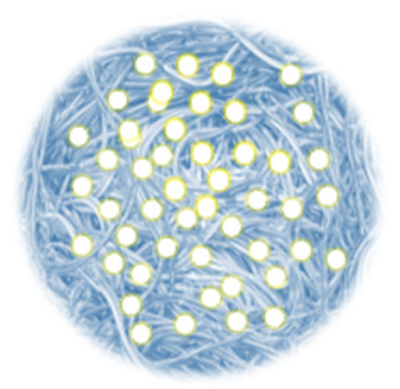 Biomedicines 09 01909 i004