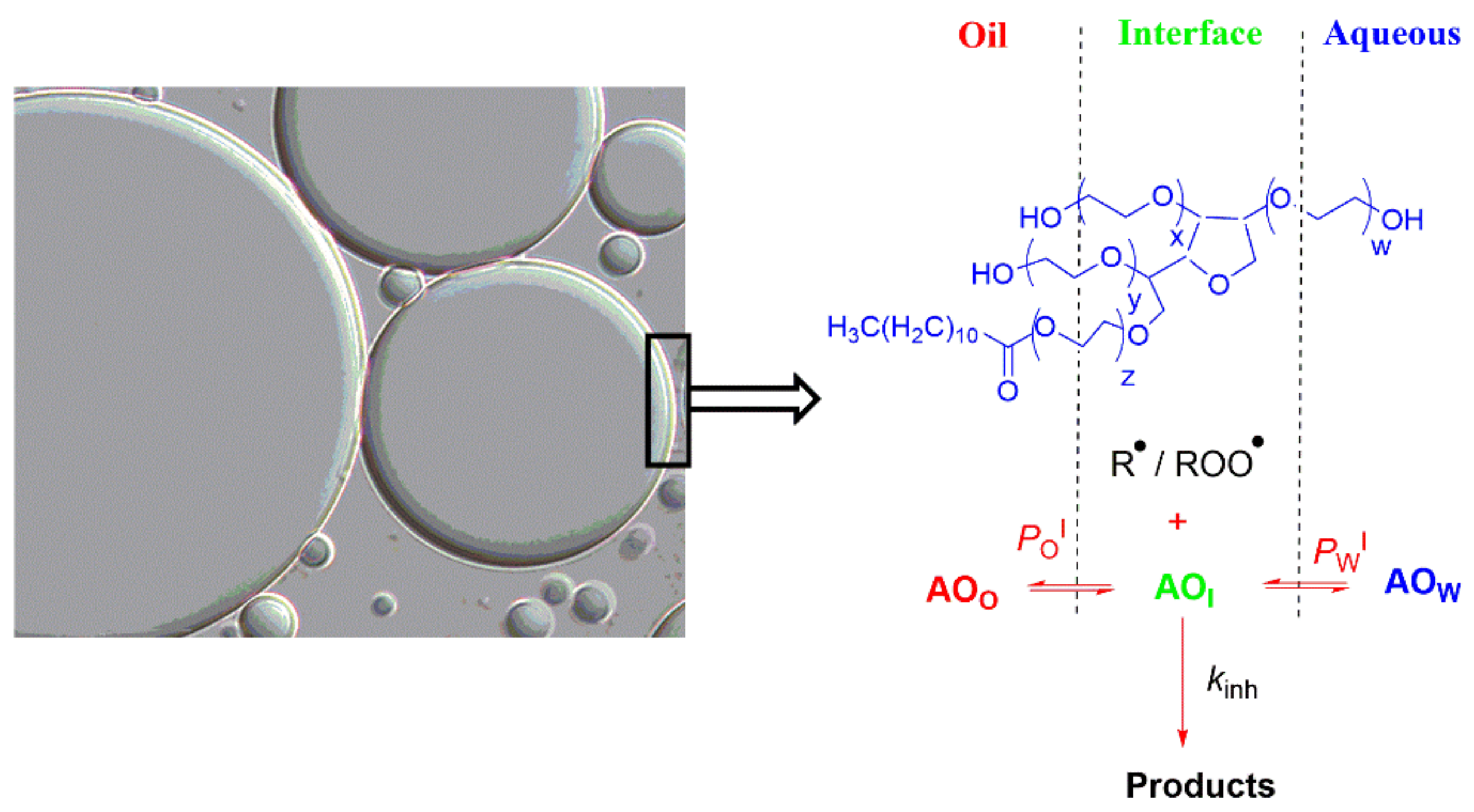 Biomedicines 09 01909 sch008