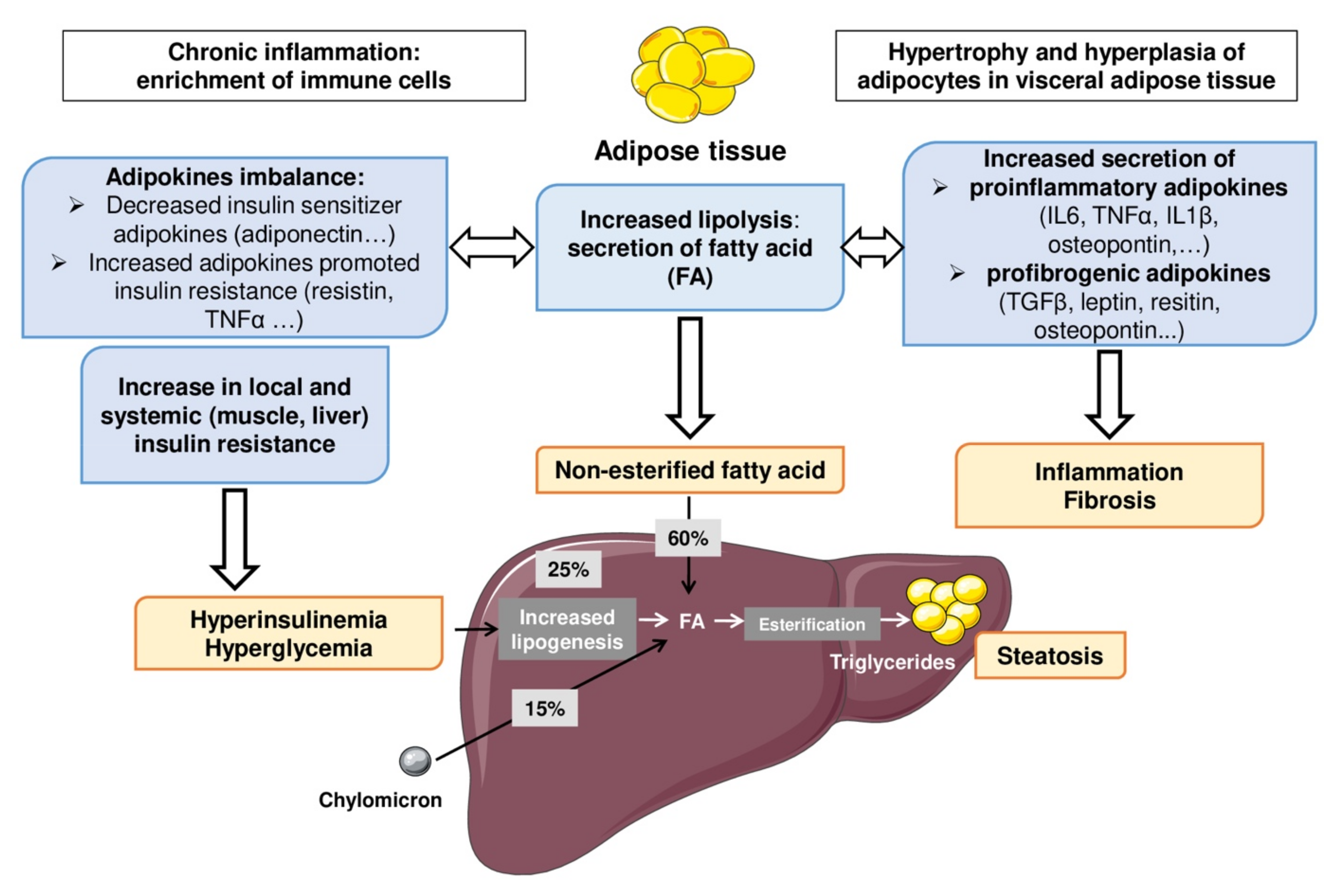 Biomedicines 09 01915 g003