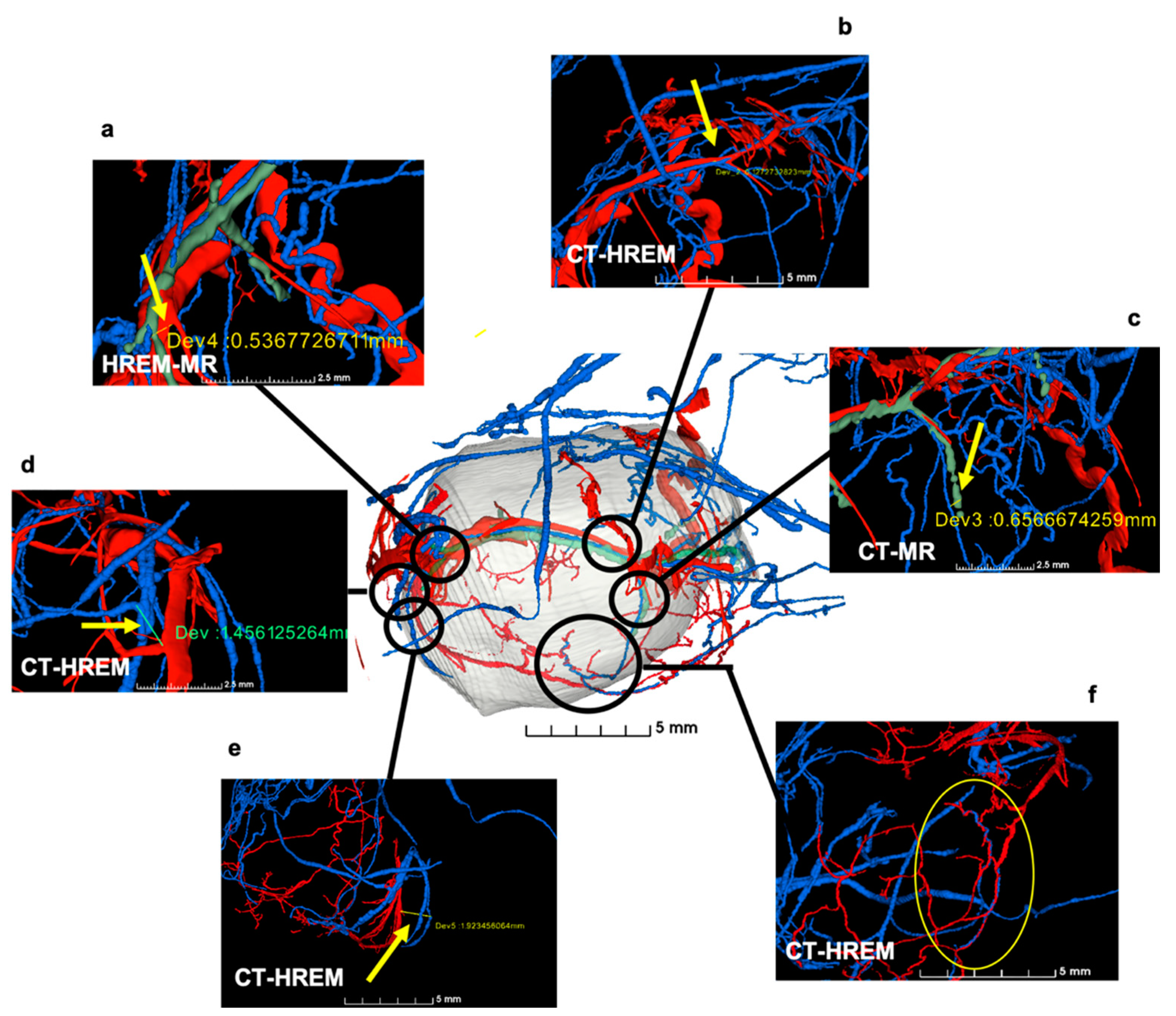 Biomedicines 09 01918 g007 550