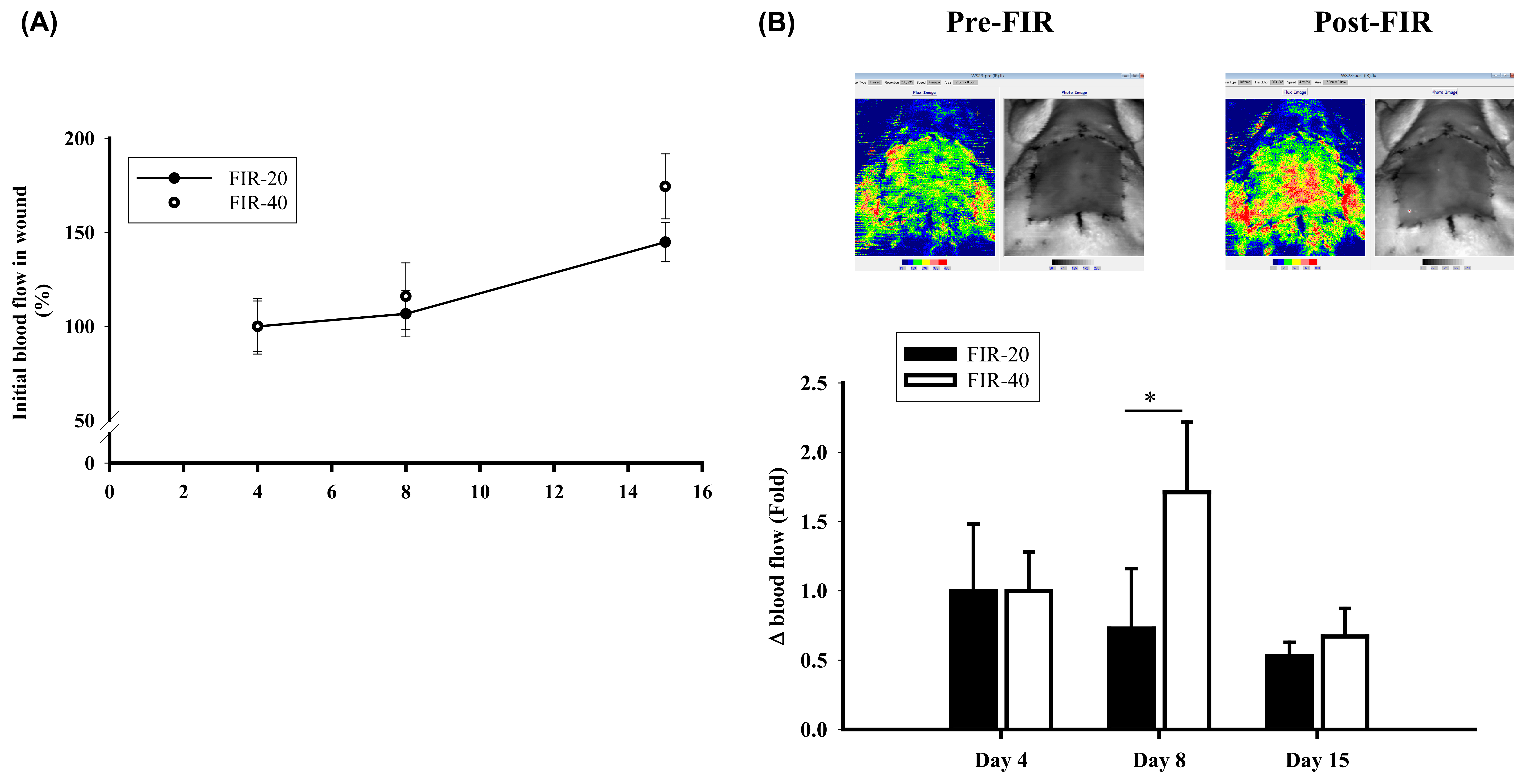 Biomedicines 09 01922 g001