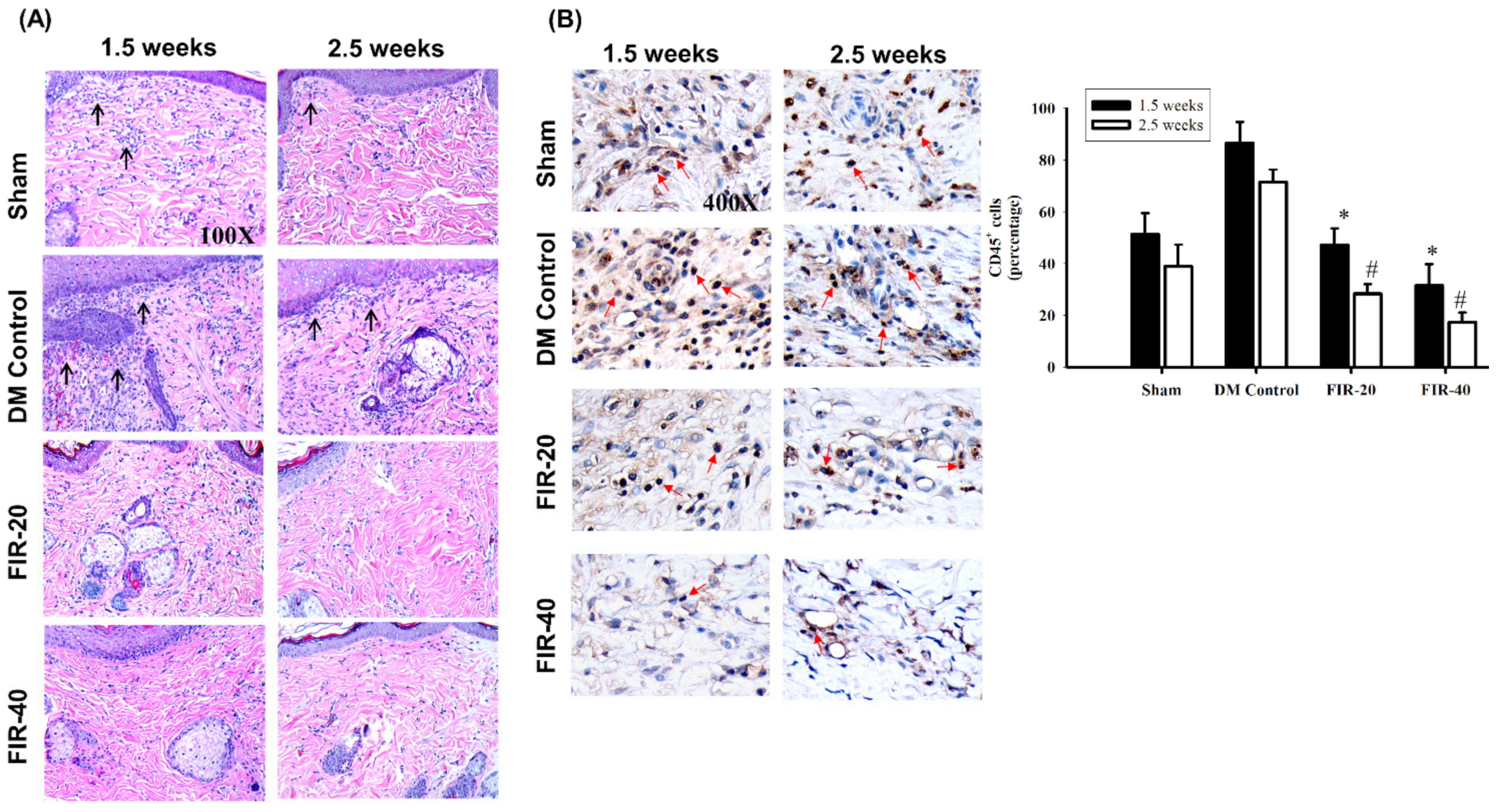 Biomedicines 09 01922 g003