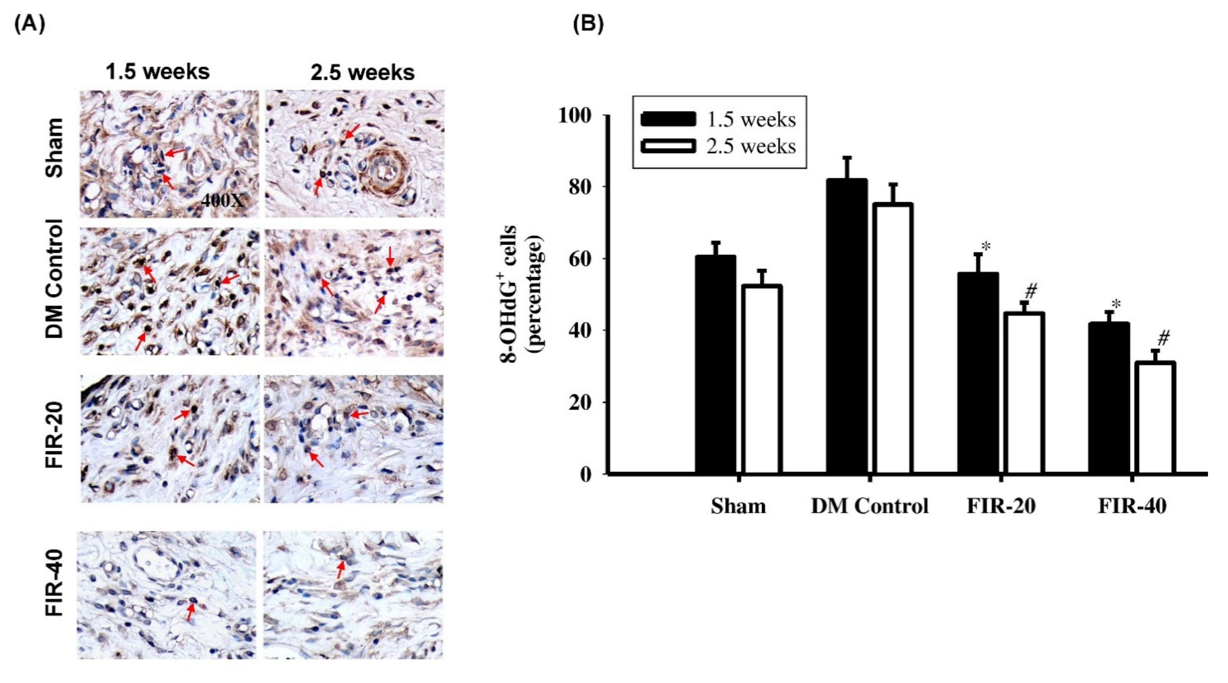 Biomedicines 09 01922 g004