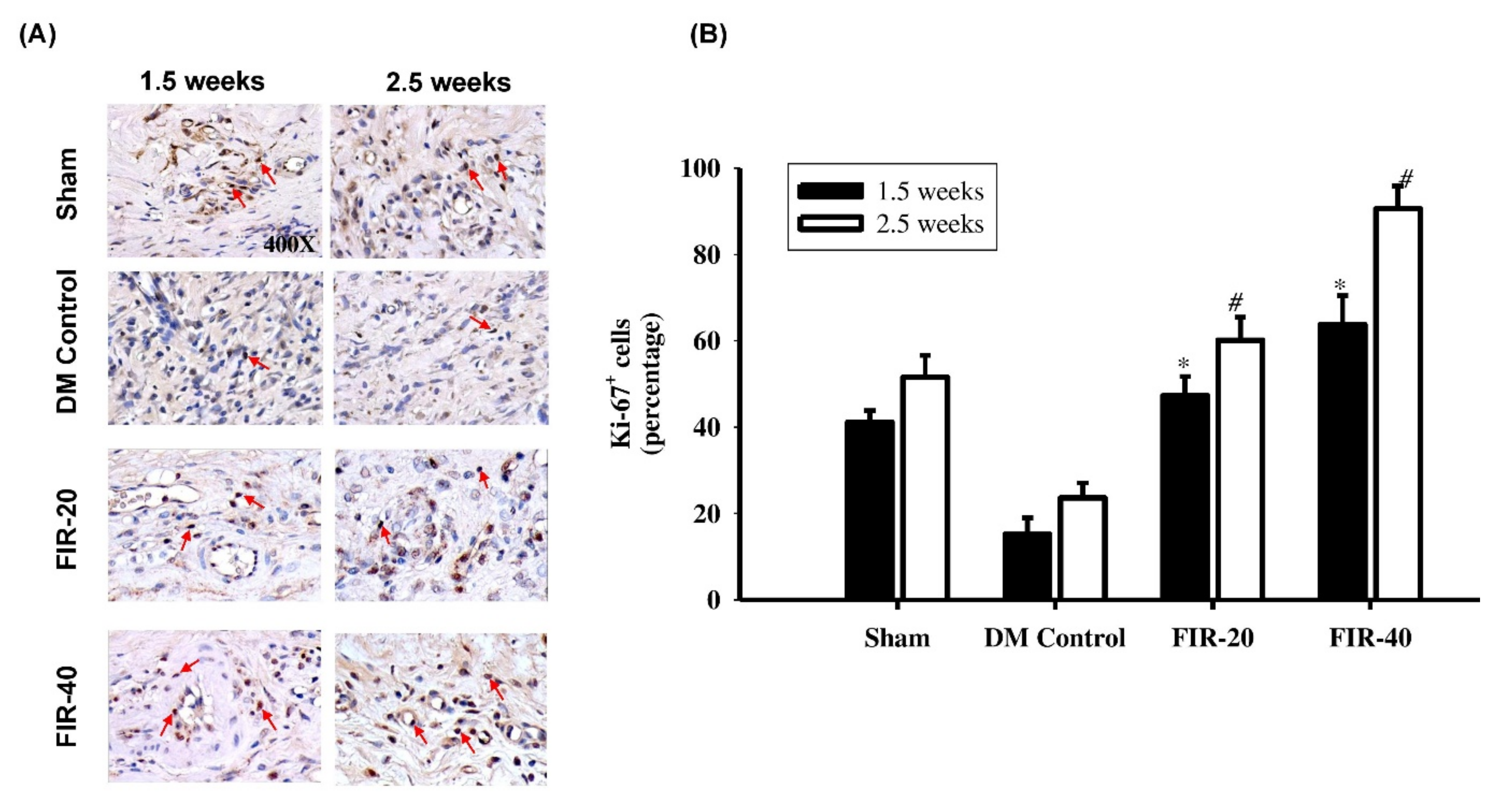 Biomedicines 09 01922 g005