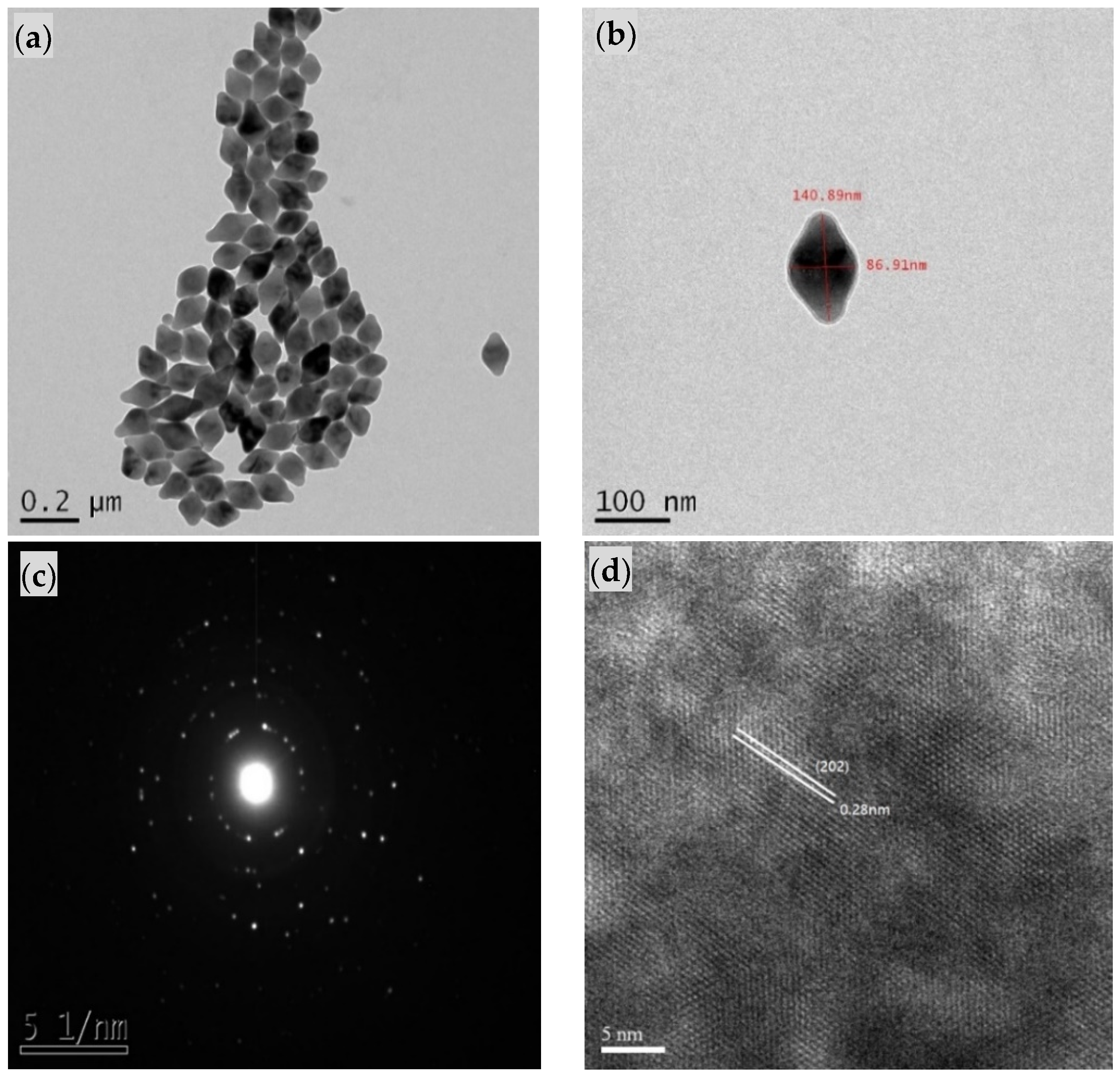 Biomedicines 09 01923 g001