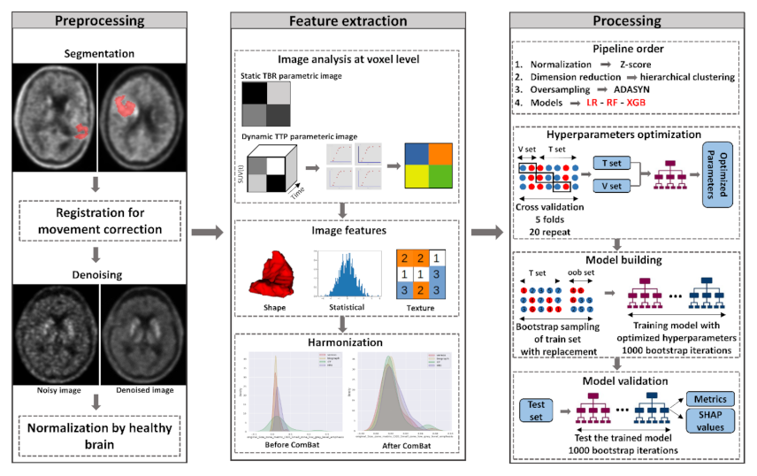 Biomedicines 09 01924 g001