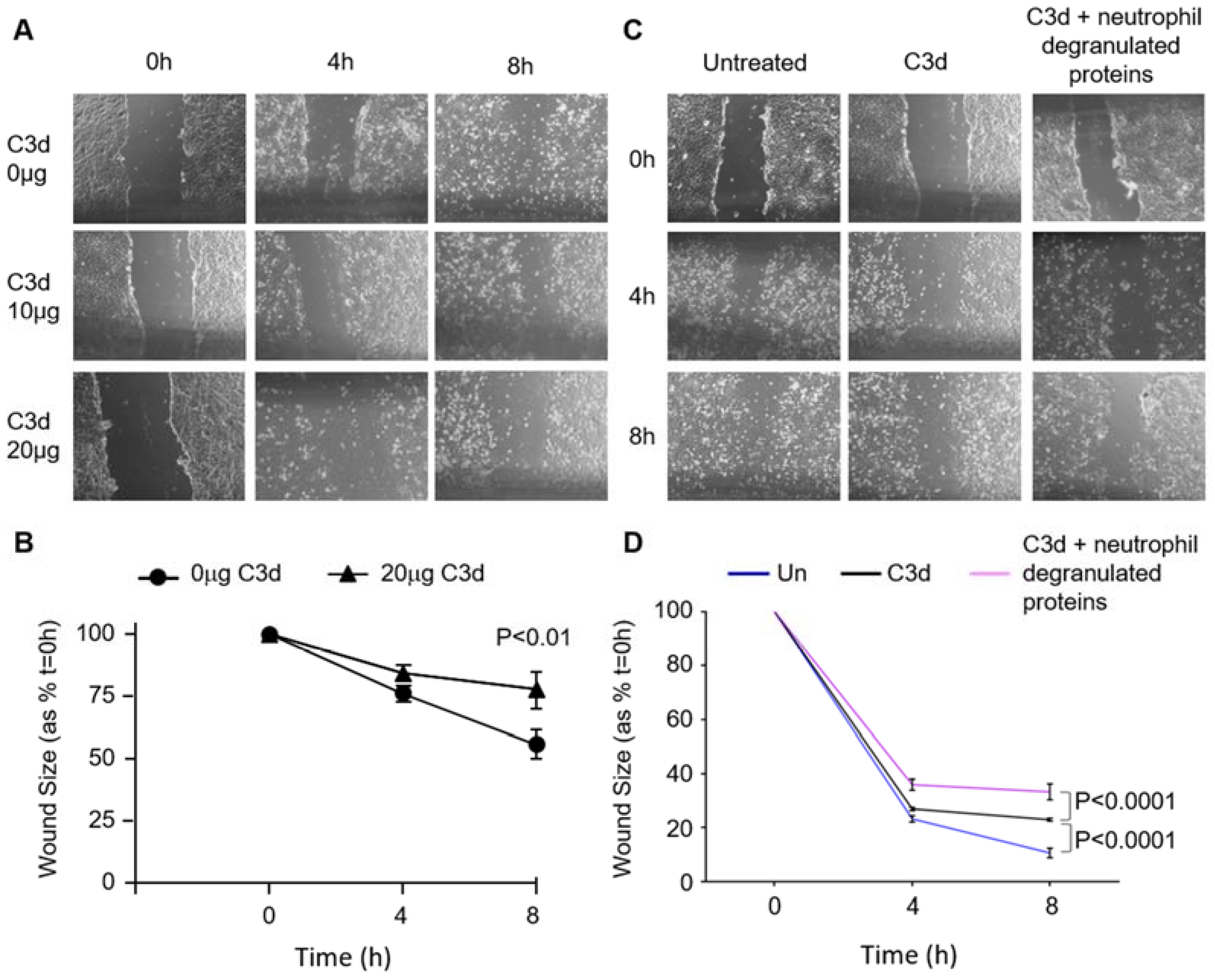 Biomedicines 09 01925 g007