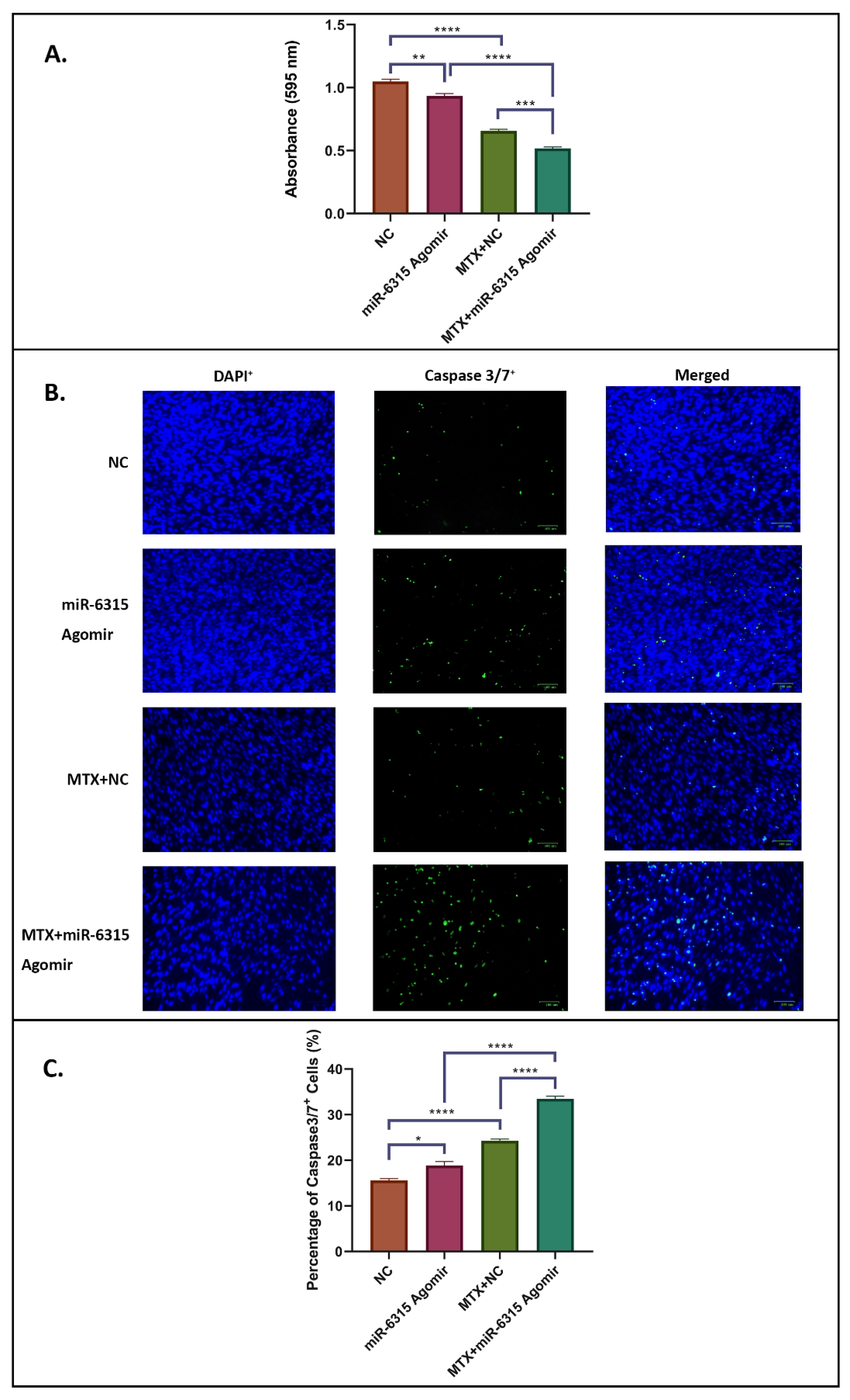 Biomedicines 09 01926 g002 Biomedicines 09 01926 g002