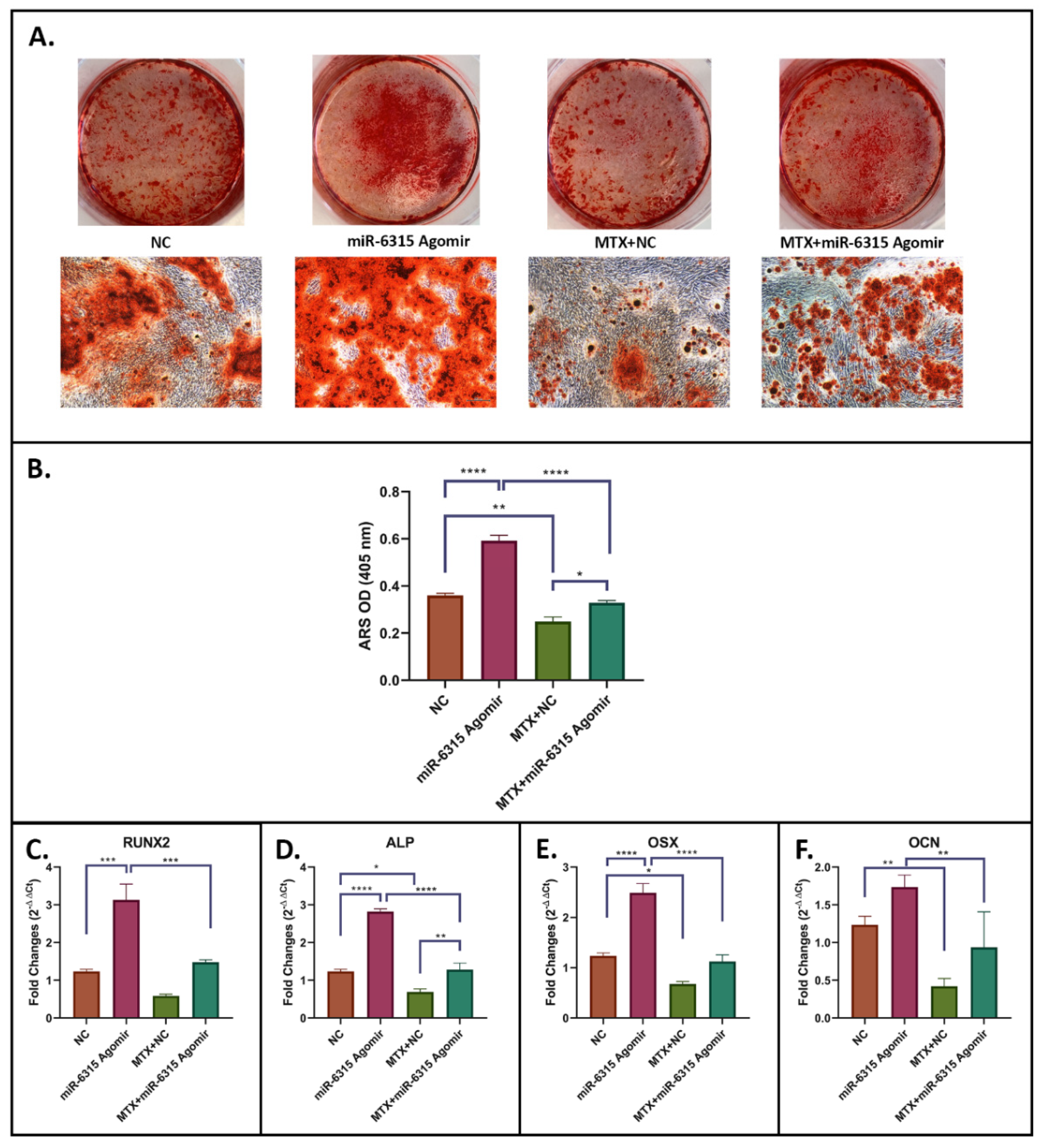 Biomedicines 09 01926 g003 Biomedicines 09 01926 g003
