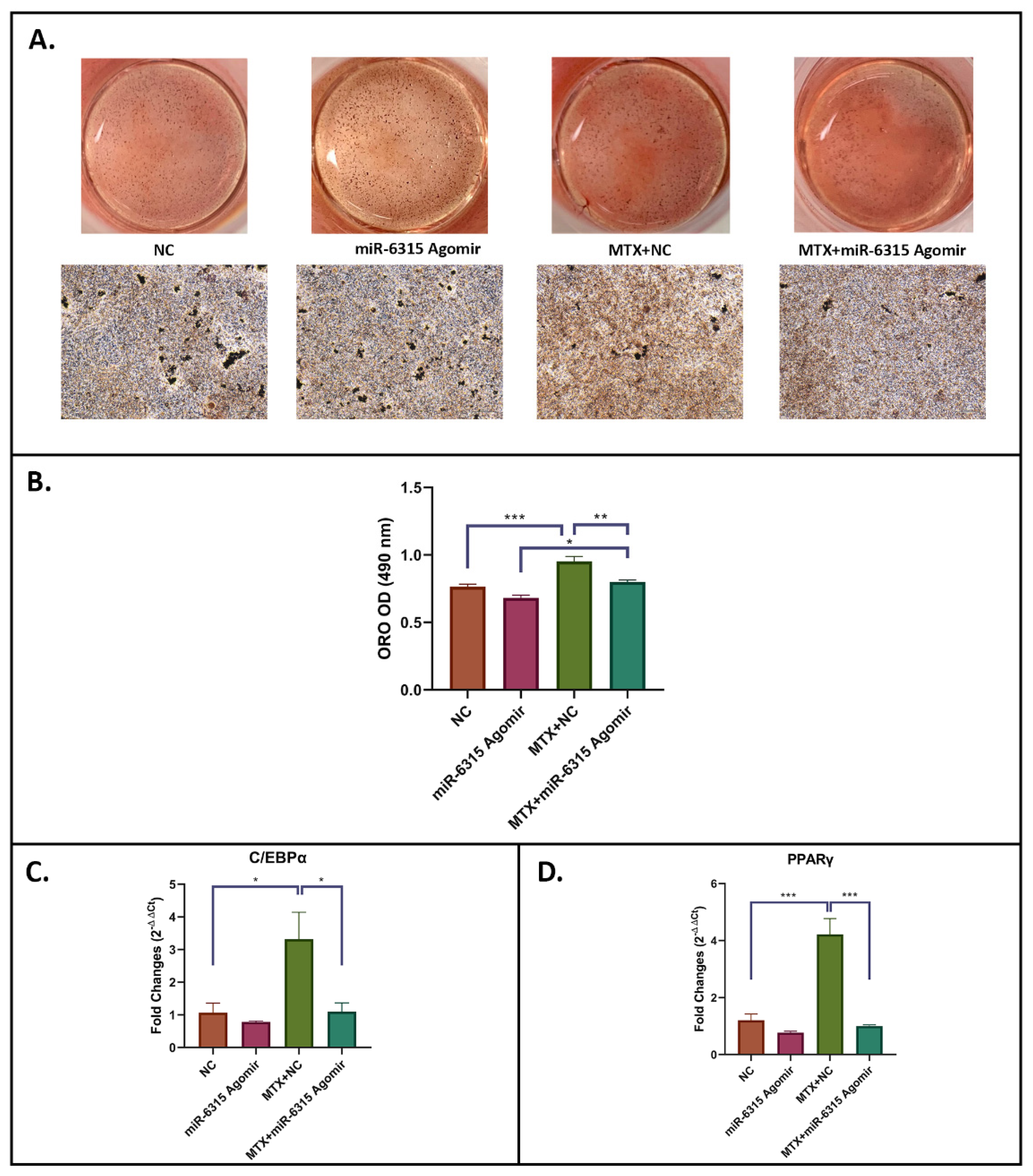 Biomedicines 09 01926 g004 Biomedicines 09 01926 g004